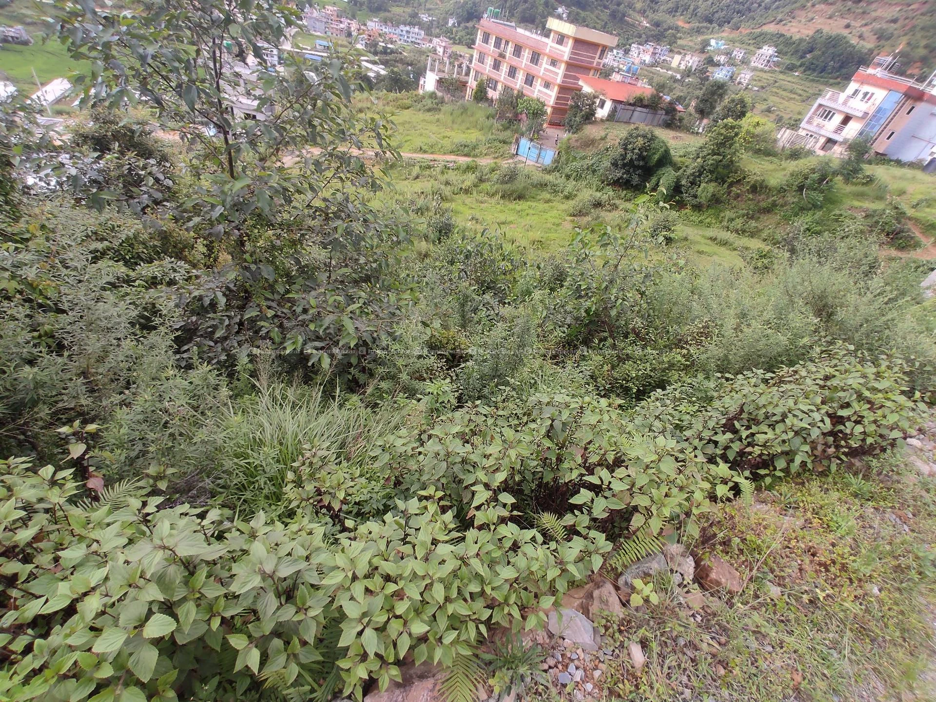 Land for sale Godamchaur 3