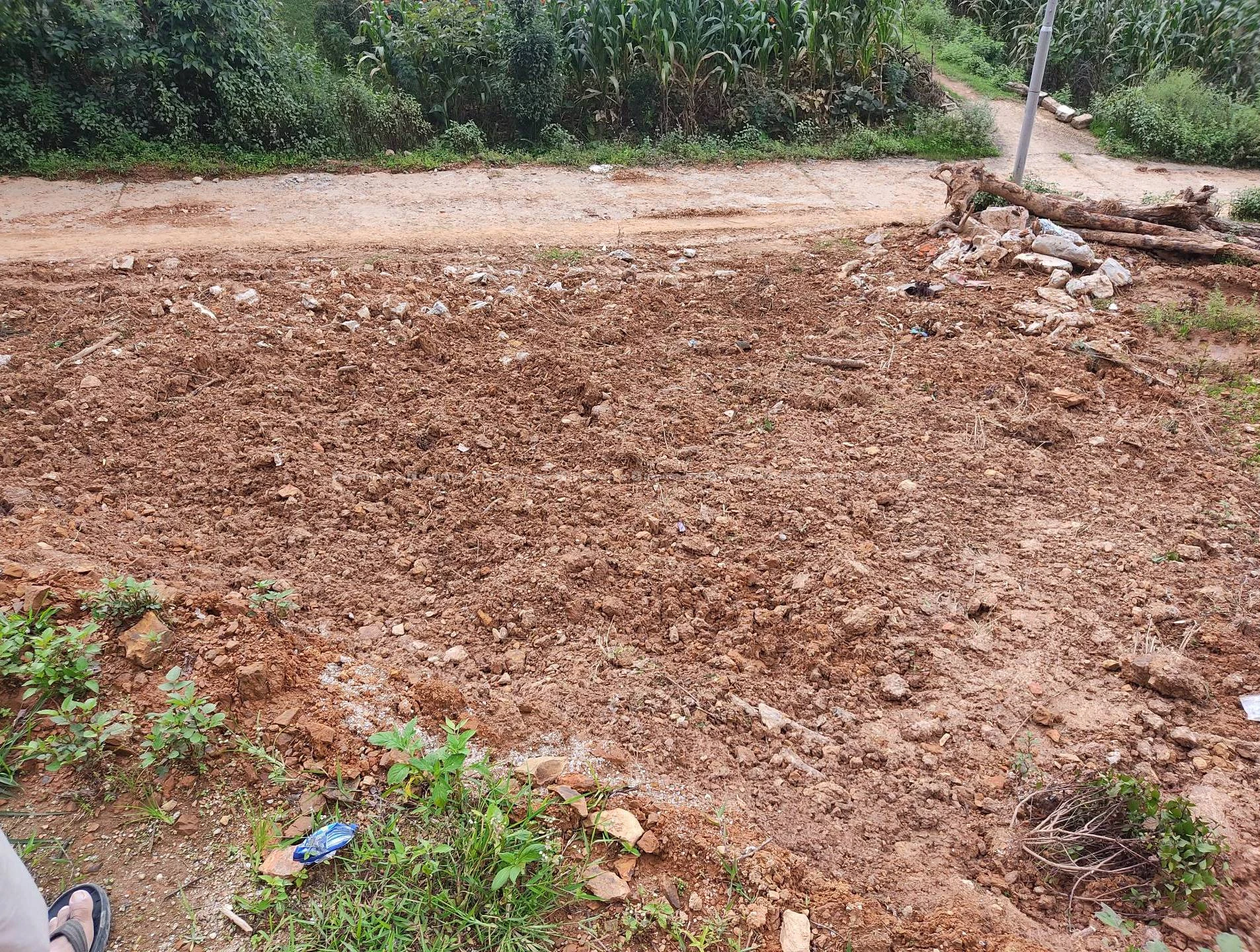 Land for sale before Bisankunarayan temple 2