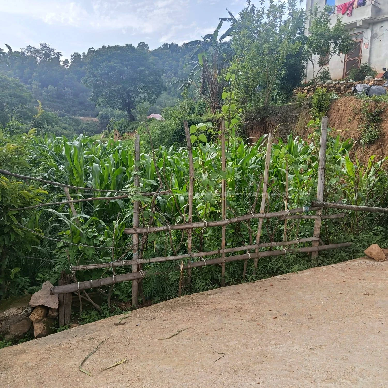 Land for sale : Godamcahur 4