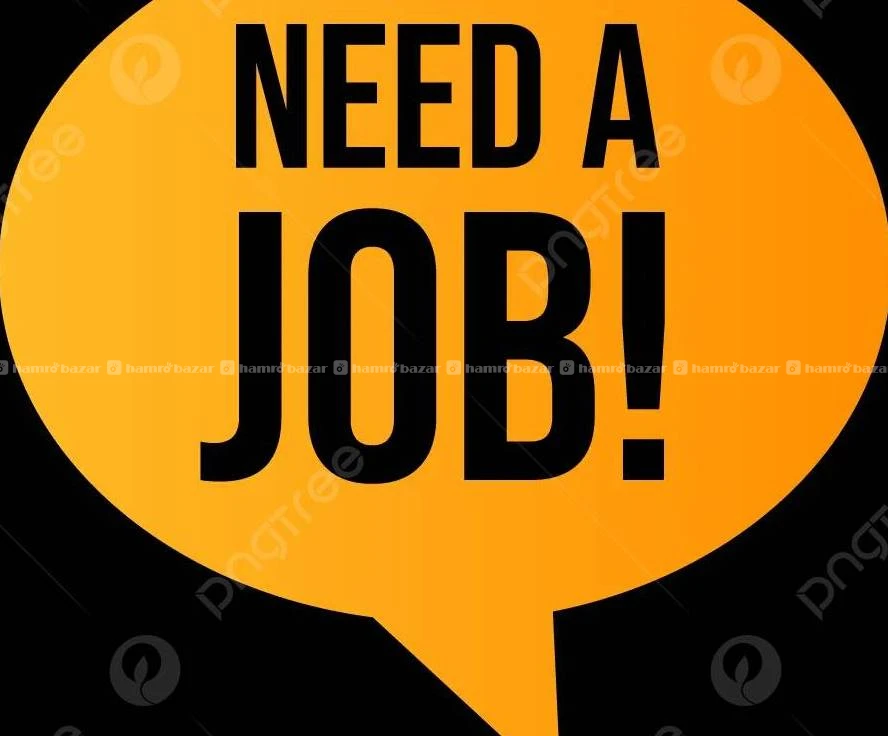 I am looking for a job