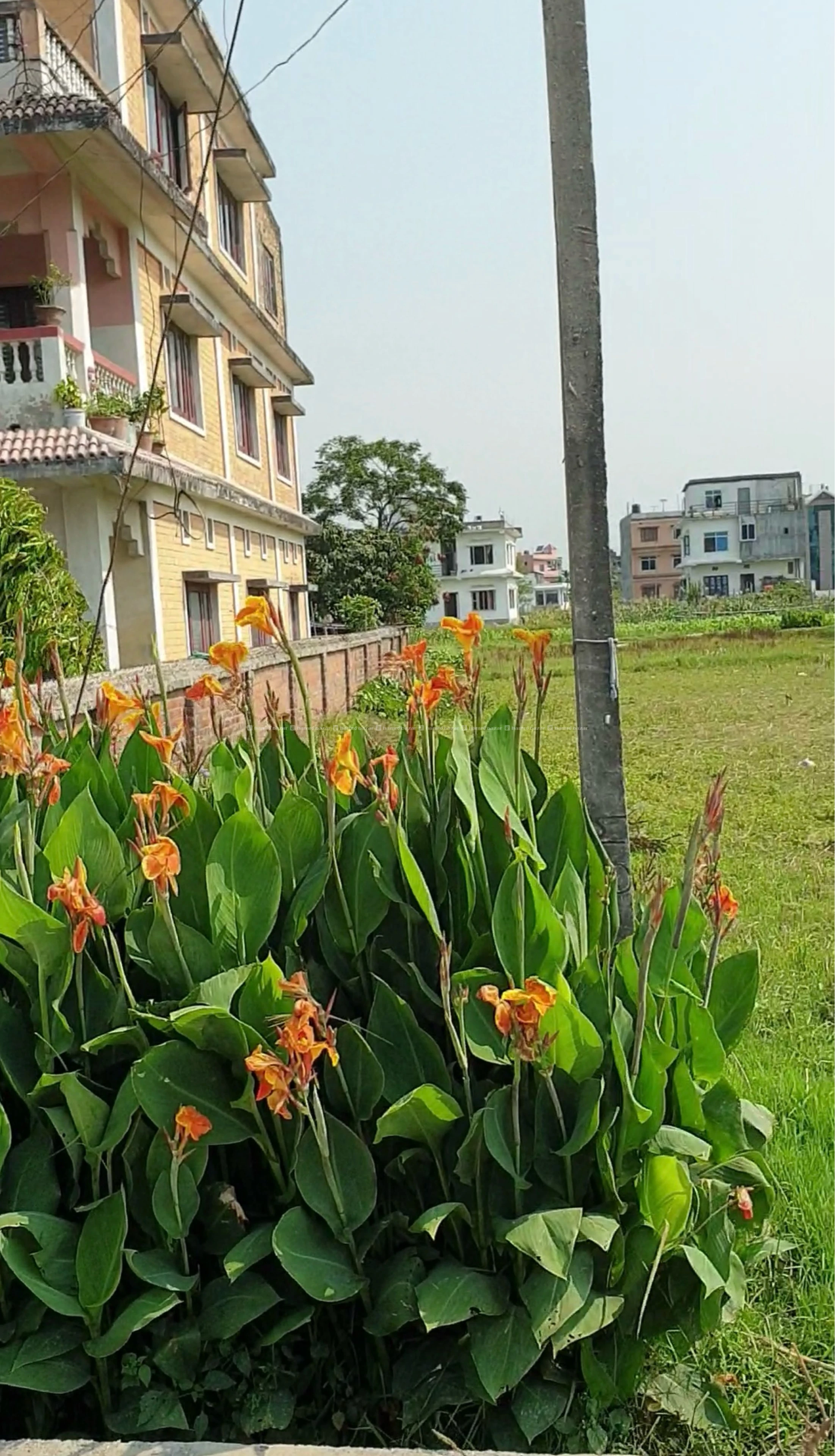 20 Dhur Jagga for Sale, Itahari near Bijuli Office 2