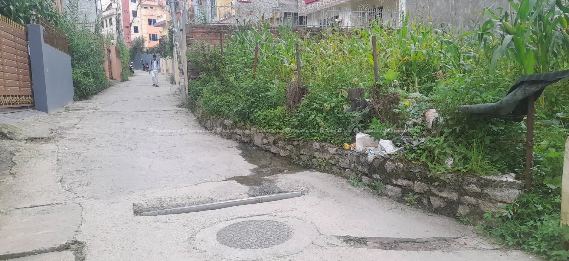 8 anna land is for urgent sale khasibazar kalanki 2