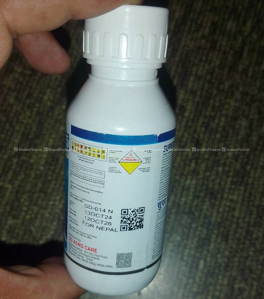 Bed bug control and rodenticide 5