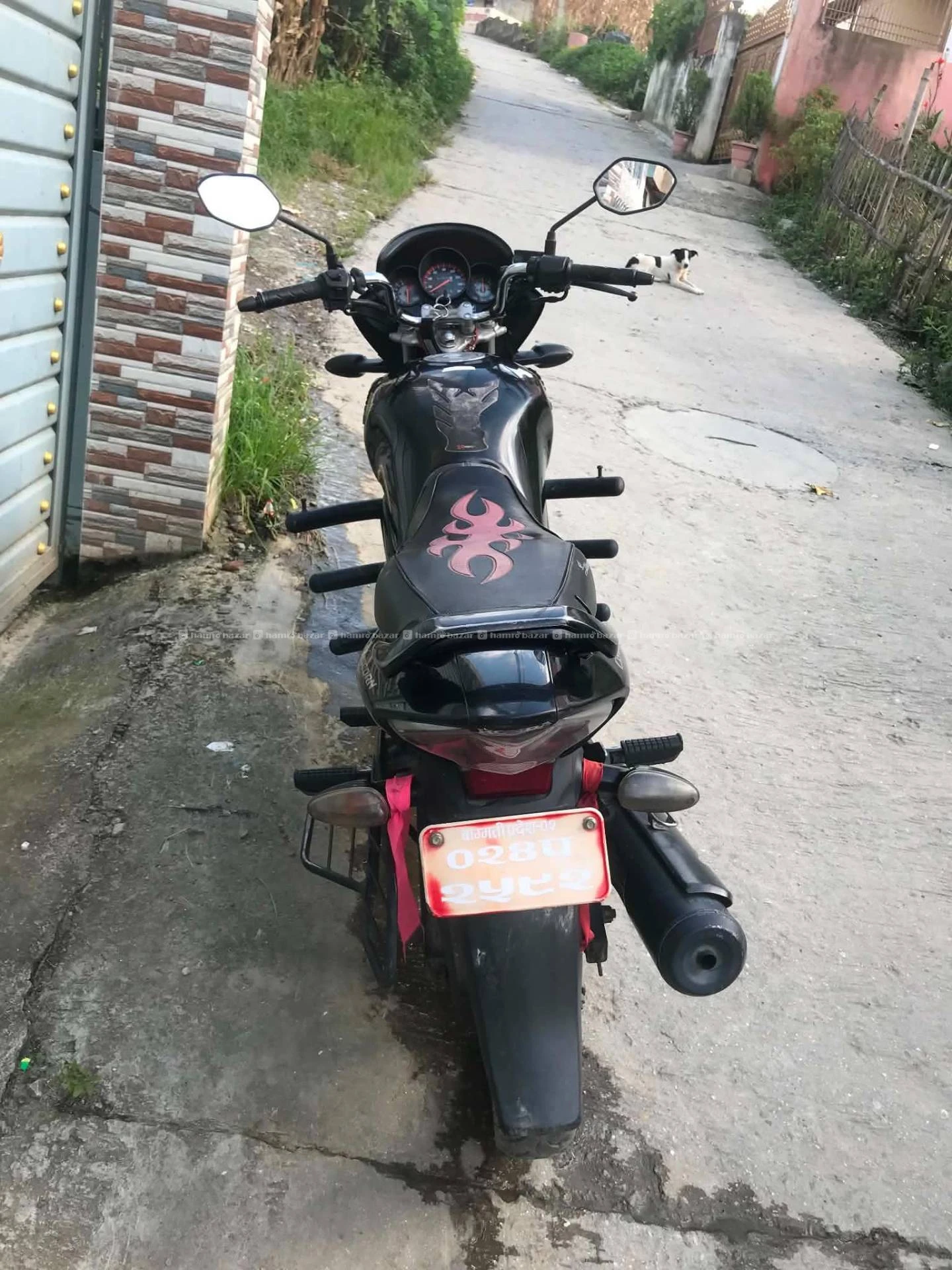 Unicorn Bike on sale 2