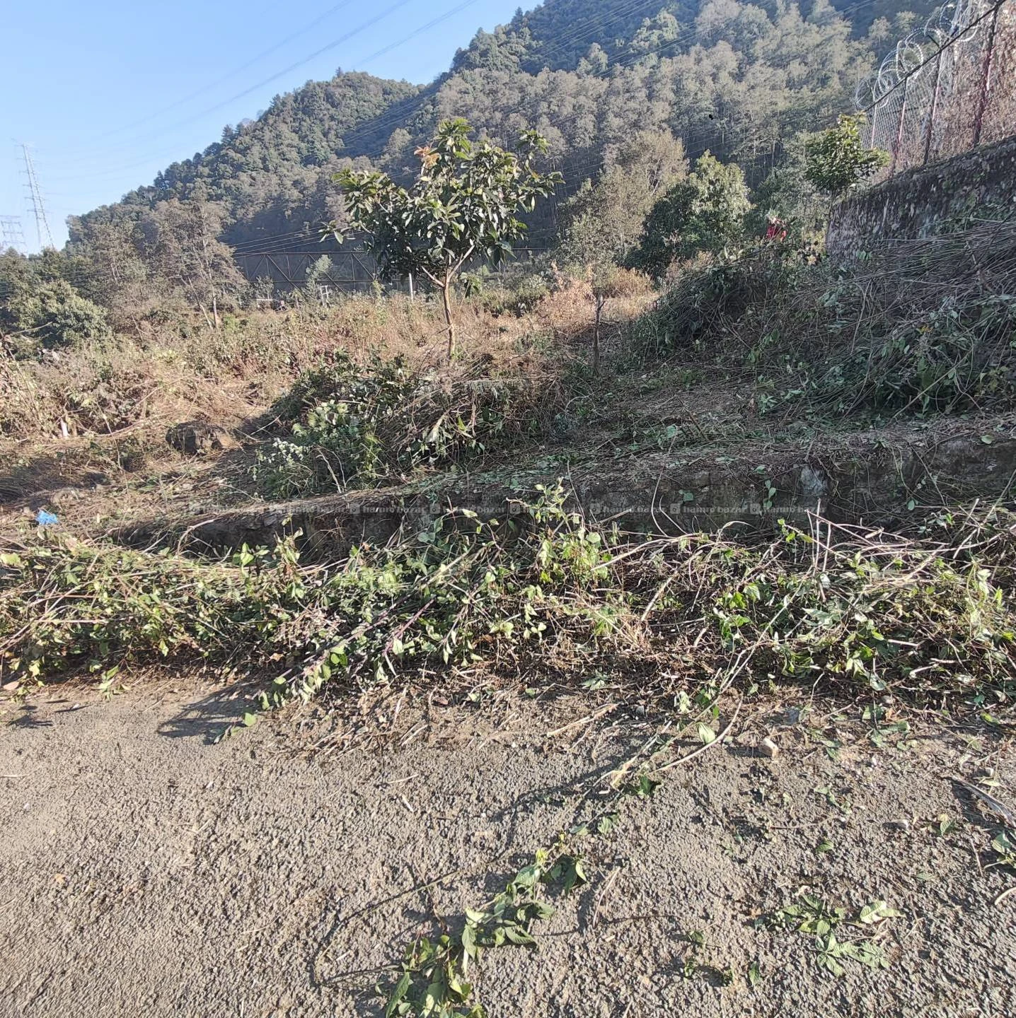 Land sell at chandragiri 2