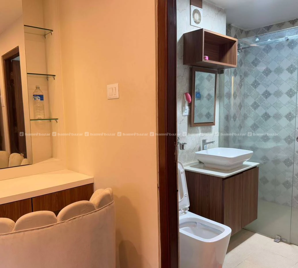 3bhk premium fully furnished apartment Balkumari 6
