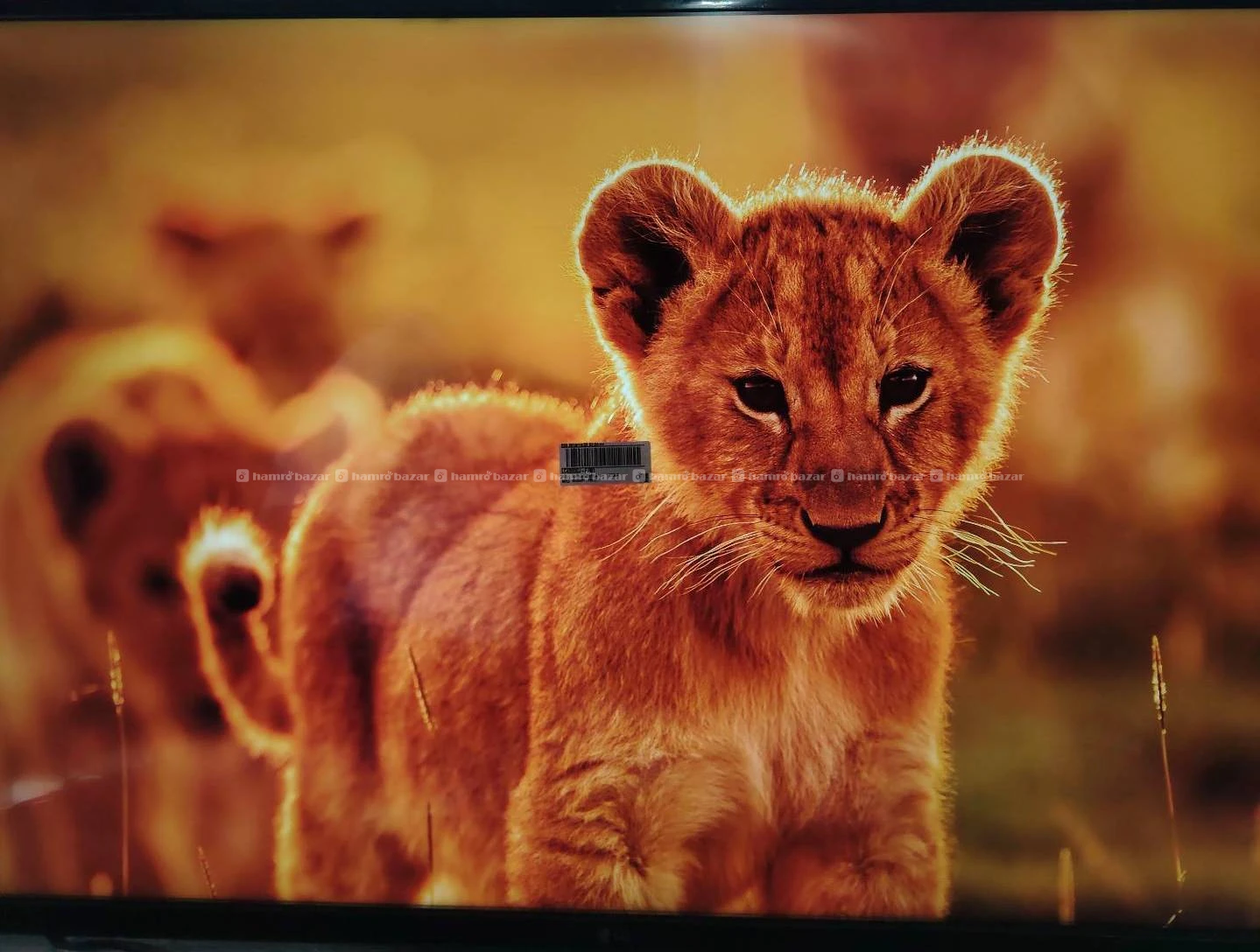 Mi tv 43 inch 2