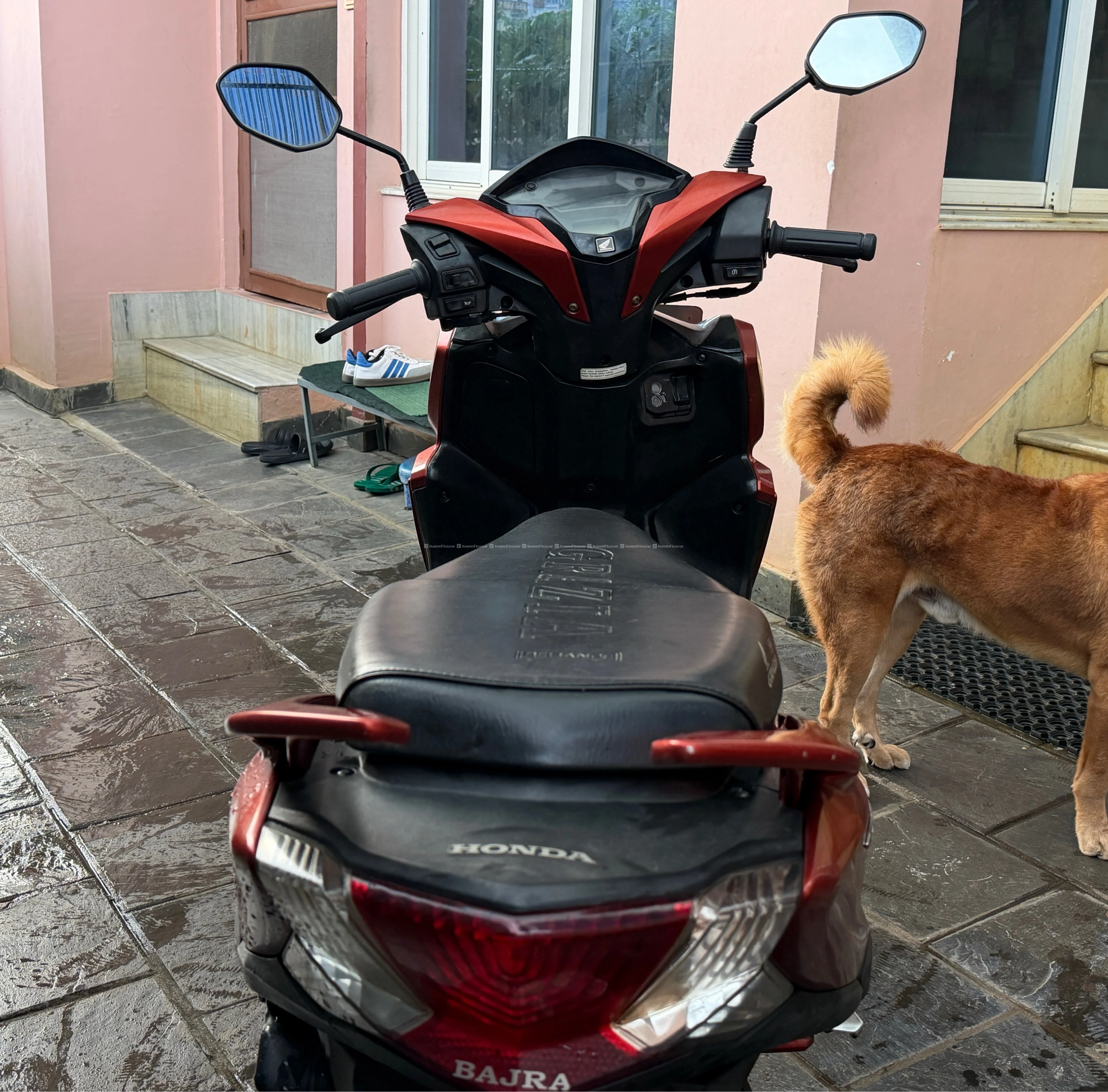 Honda Grazia BS IV 4