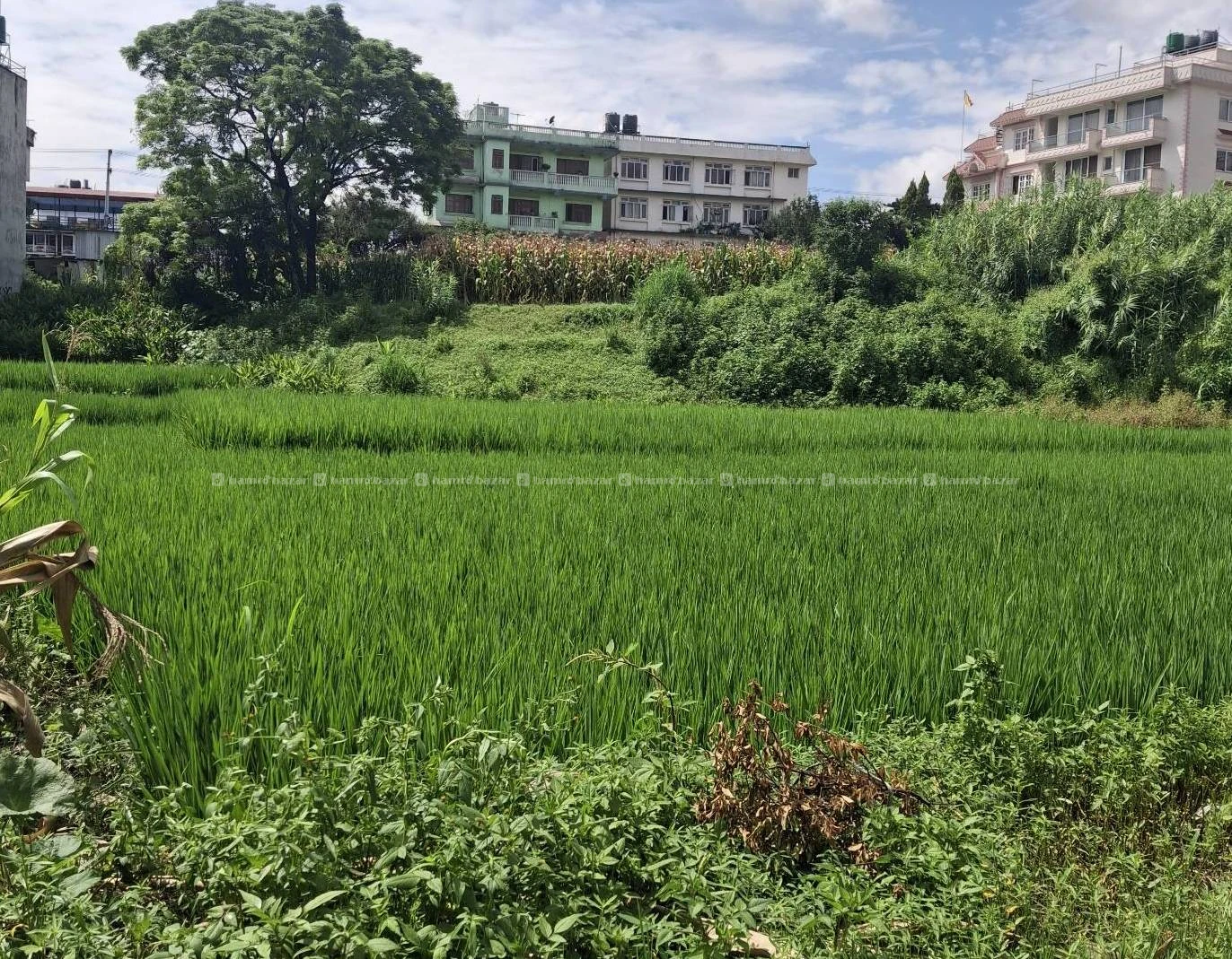 LAND FOR SALE DUWAKOT BHAKTAPUR NEAR KMC HOSPITAL 2