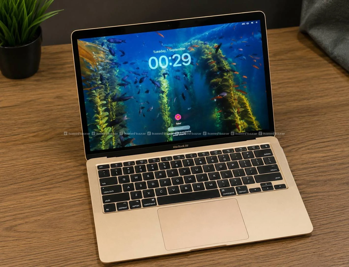 MacBook Air 2020 3