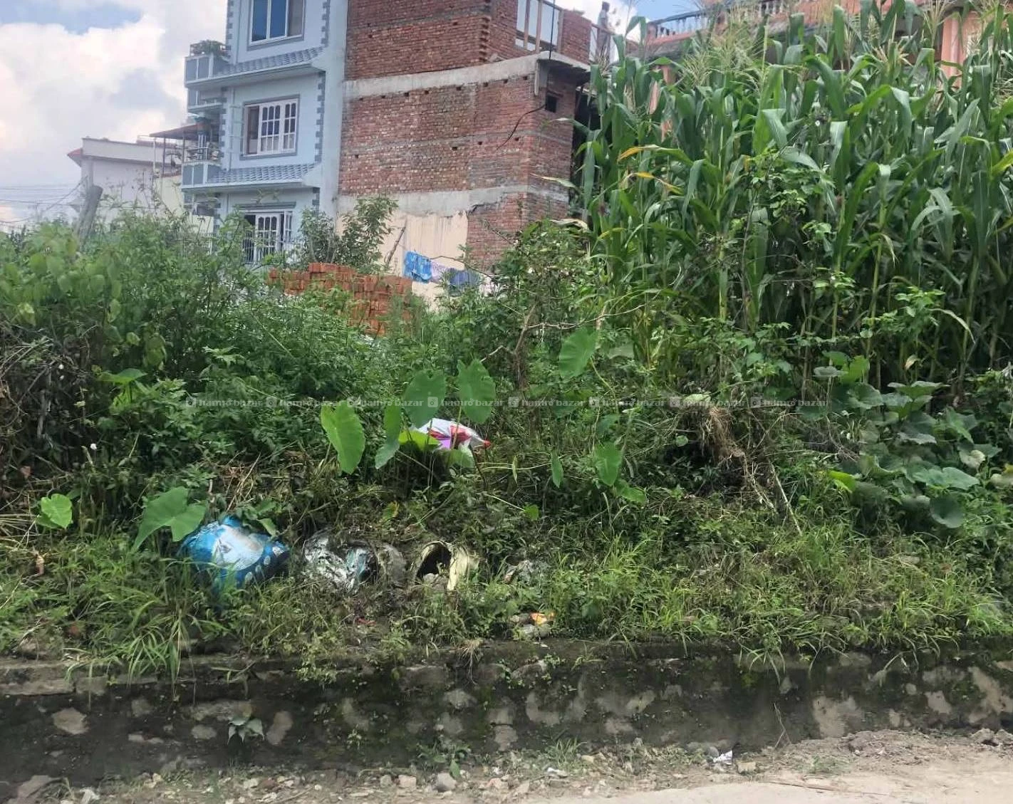 Land for sale 3