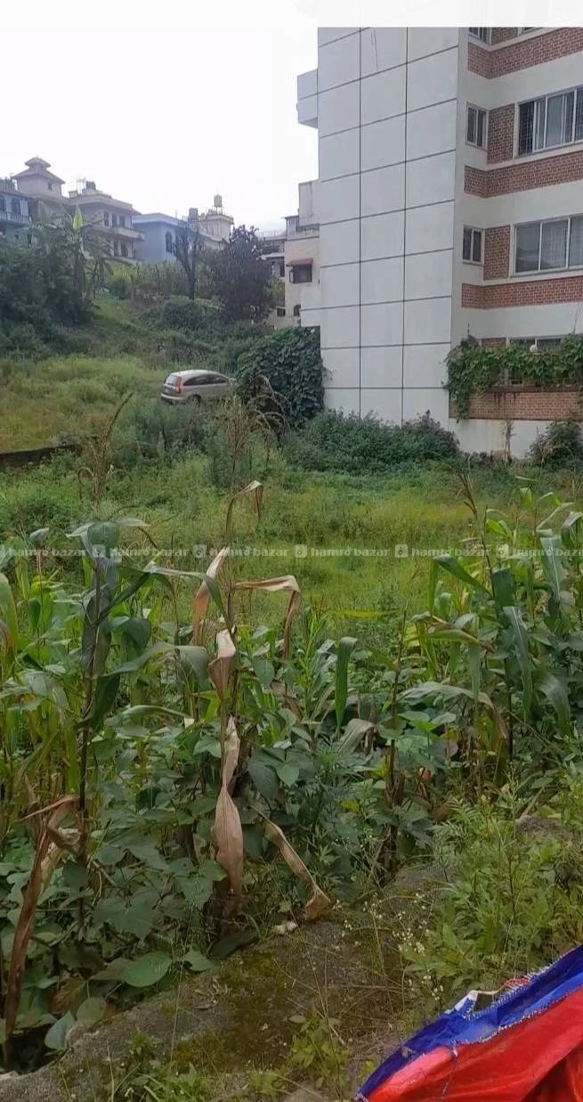 13 anna land is for urgent sale at bhaisepati 3