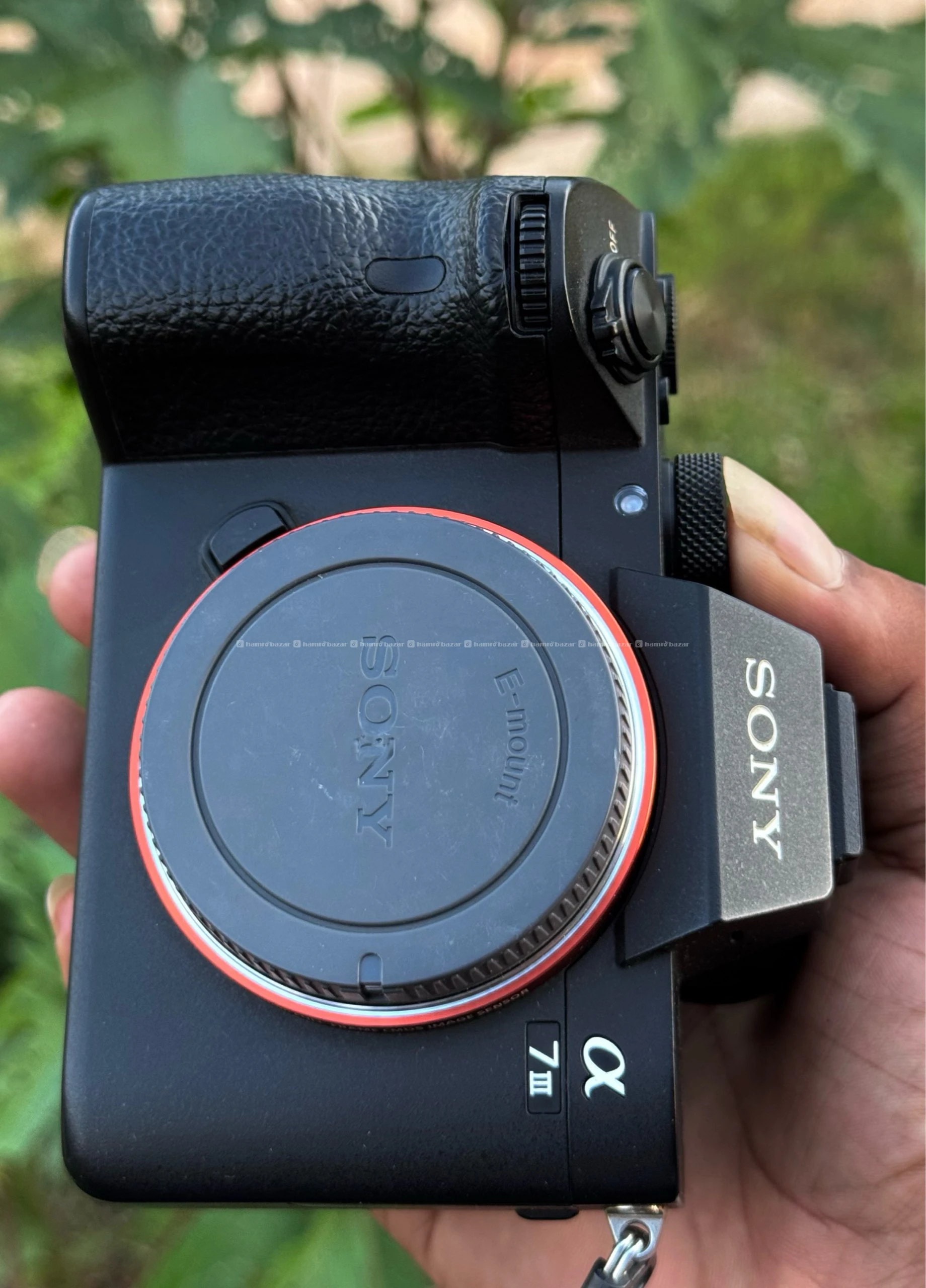 Sony Alpha 7 III / ILCE-7M3 and lens 6
