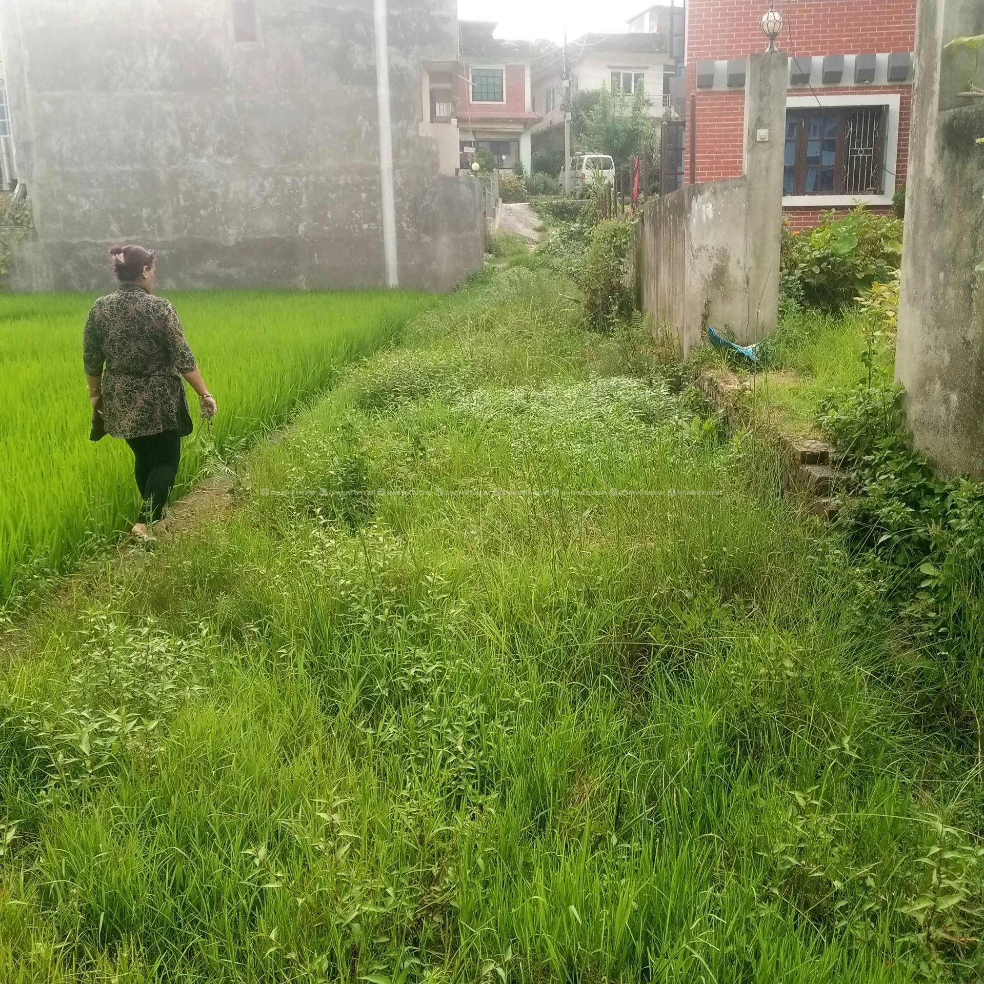 LAND FOR SALE 6