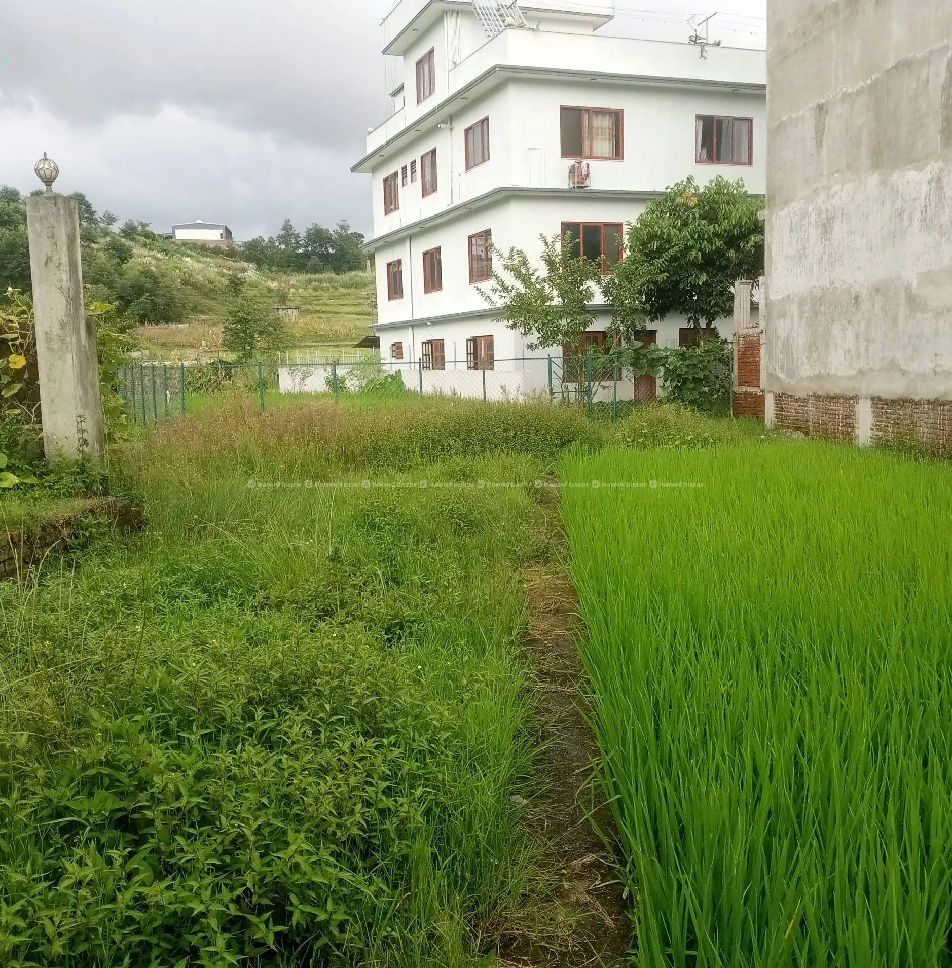 LAND FOR SALE 3