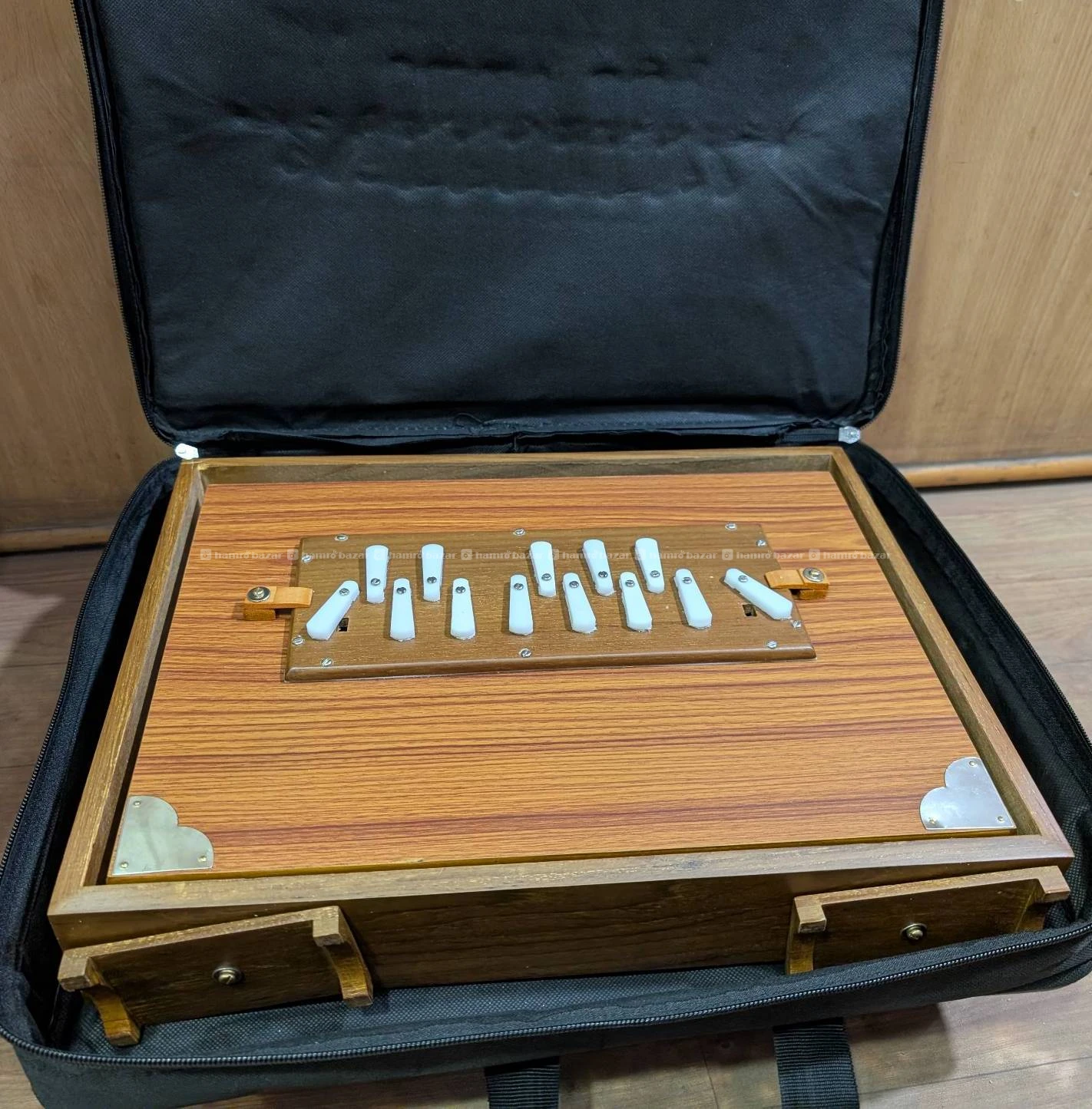 Shruti box 2