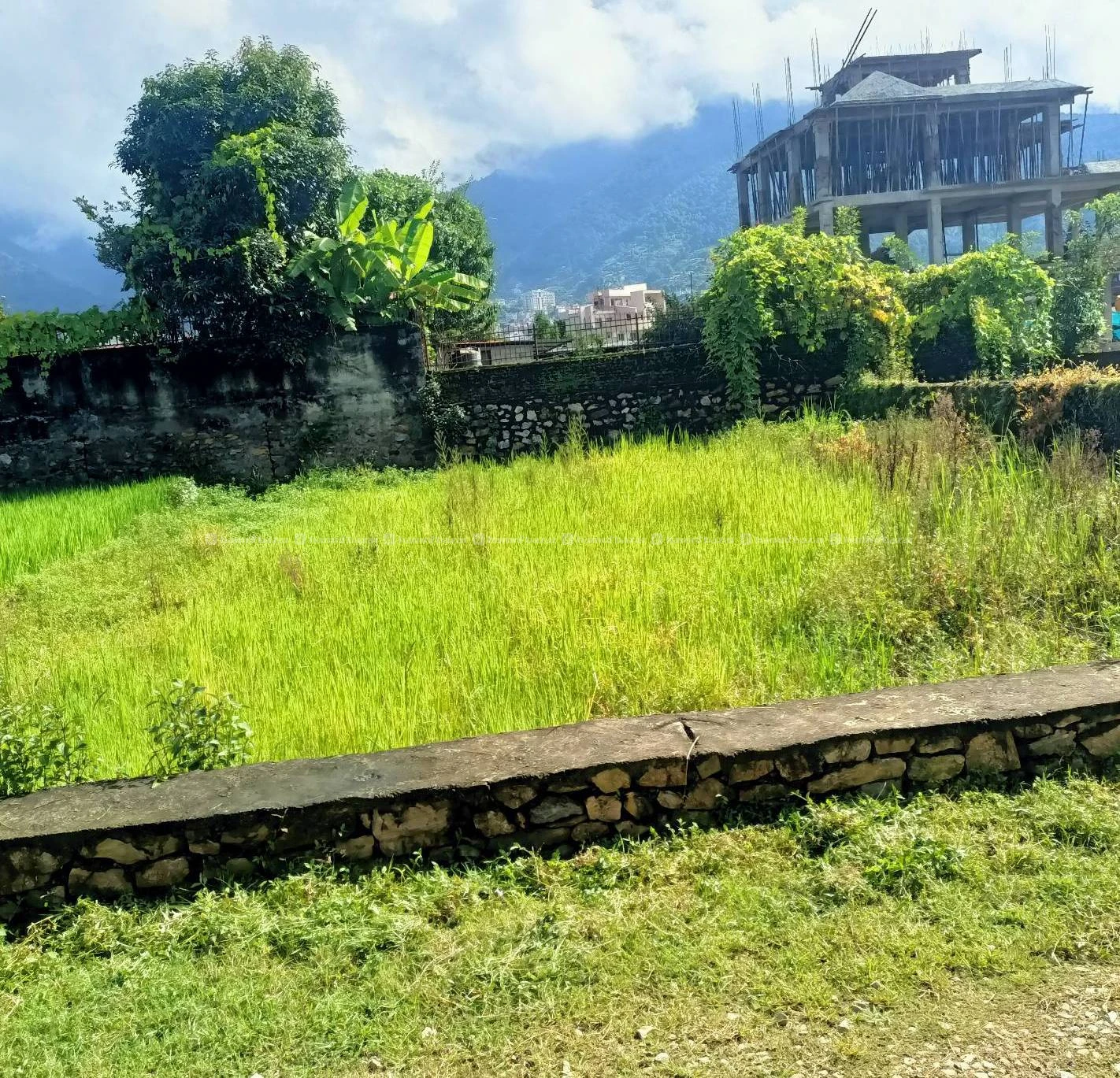 Land for sale in budhanilkantha 3