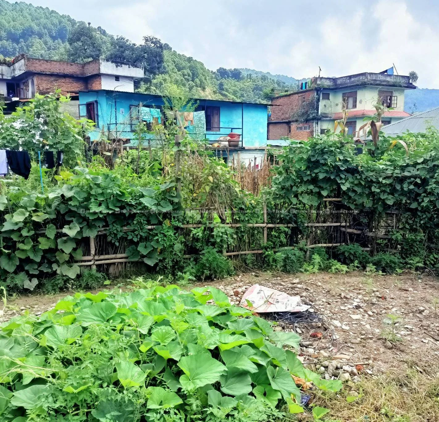 Land for sale in chapali 2