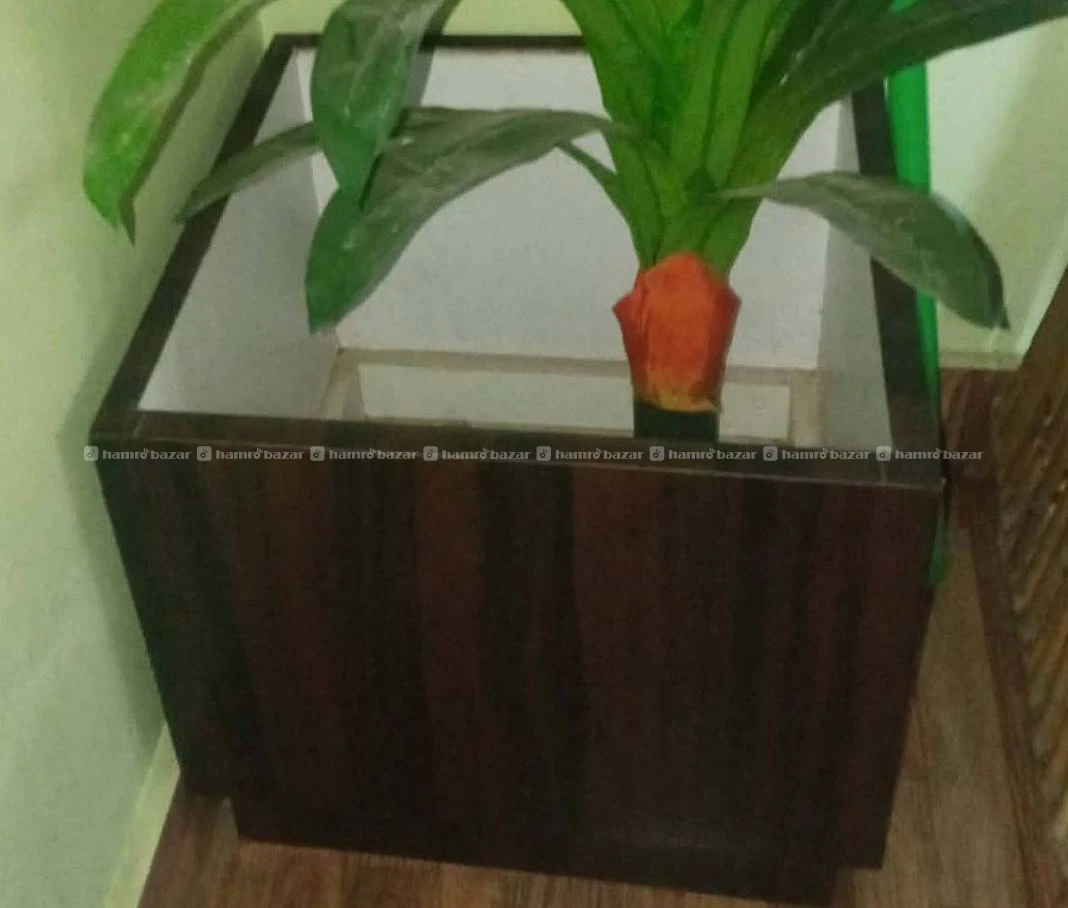Large rectangular flower pot/box 2