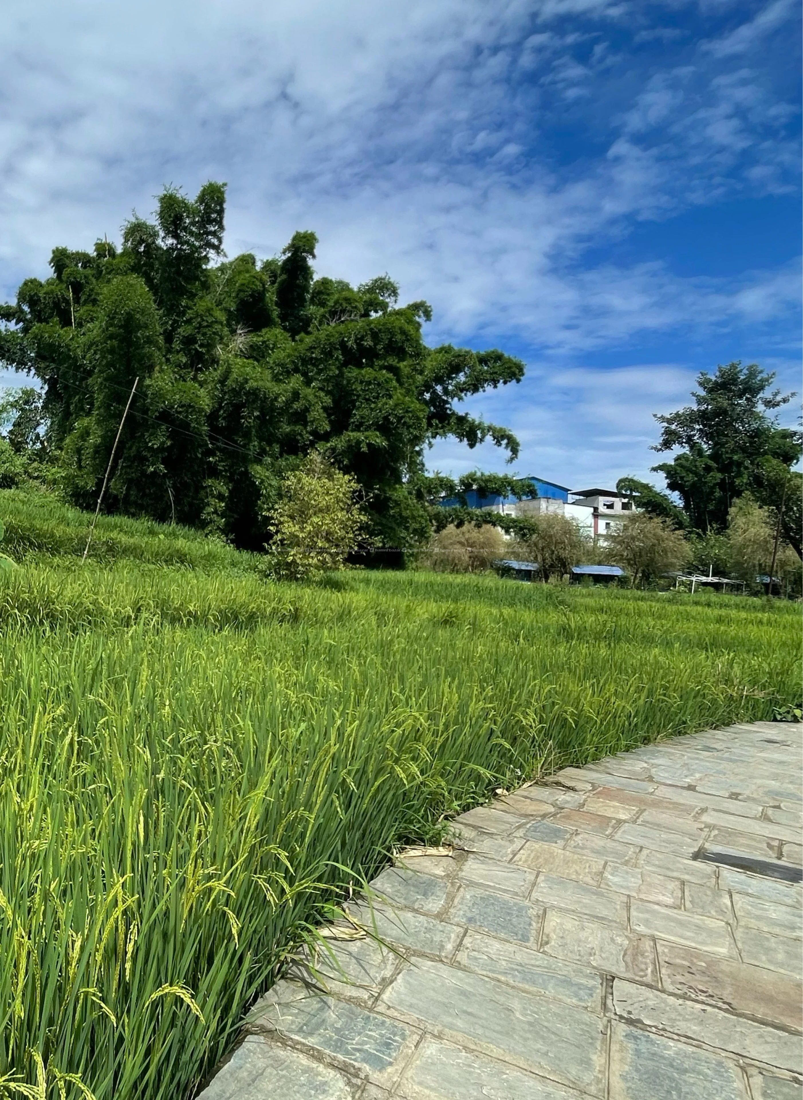 Cheap land for sale 2