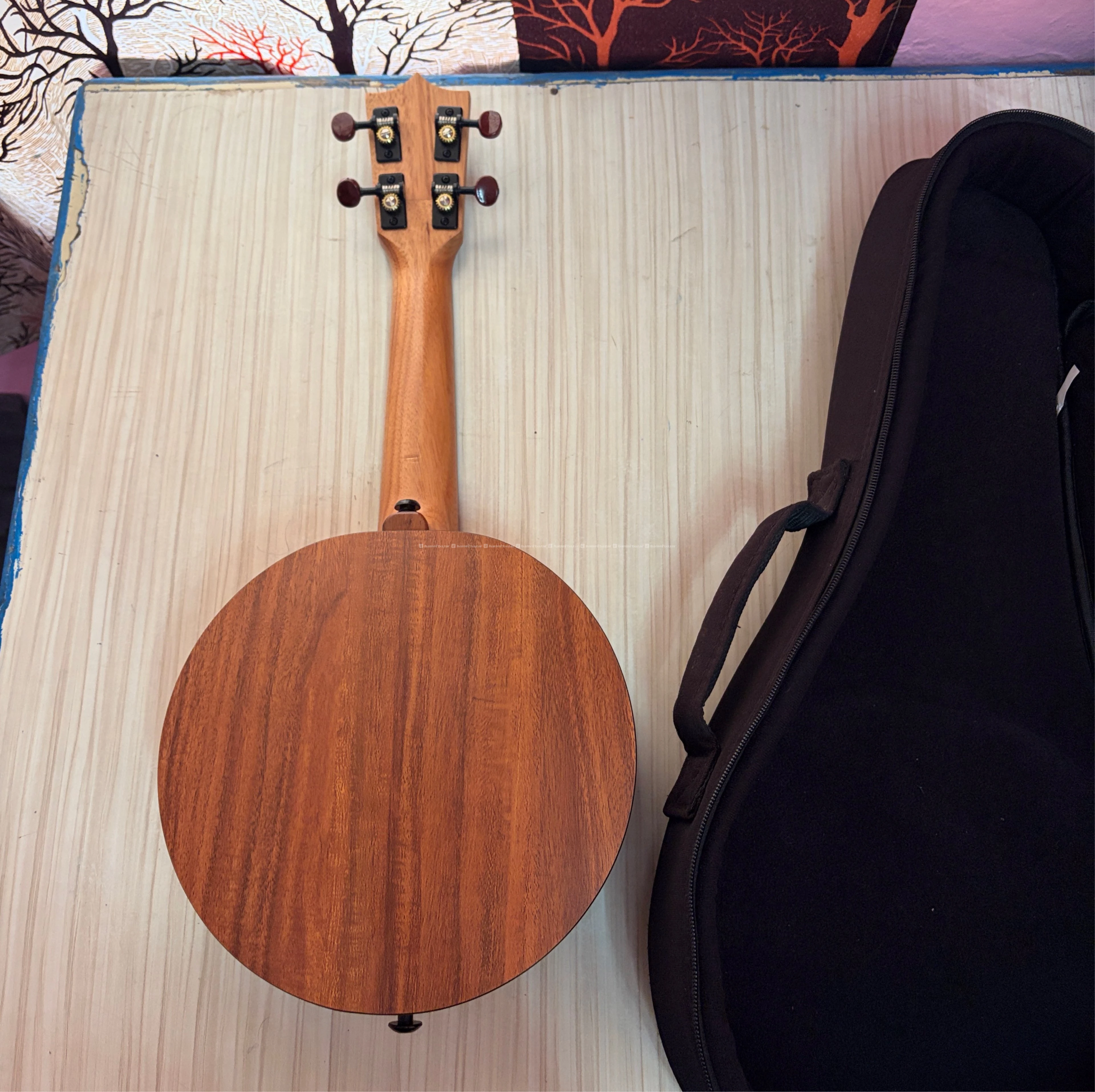 Enya Ukulele 4