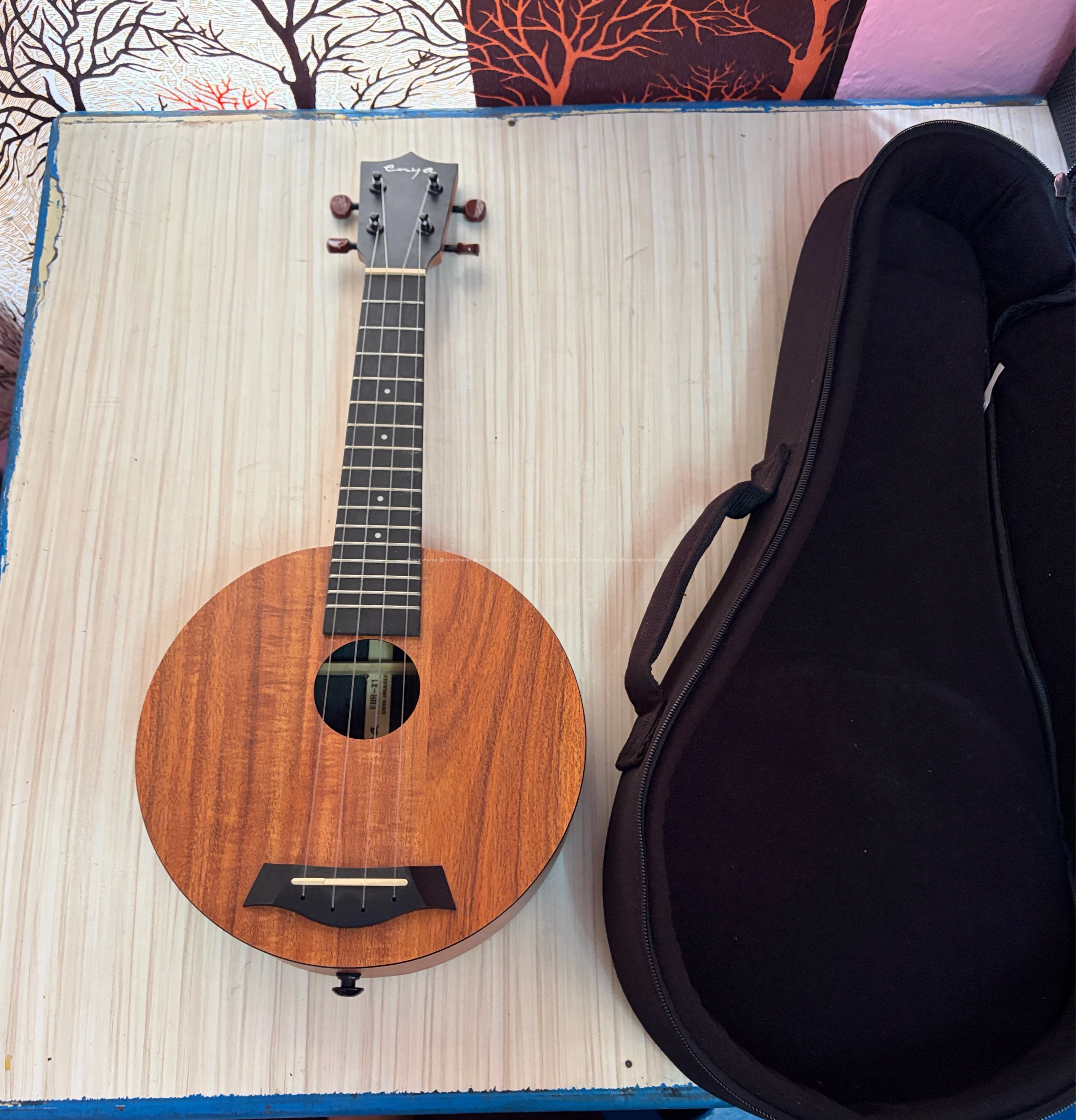 Enya Ukulele 2