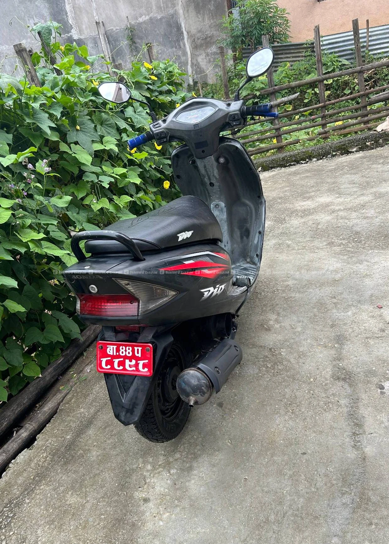 44 lot dio fresh 2