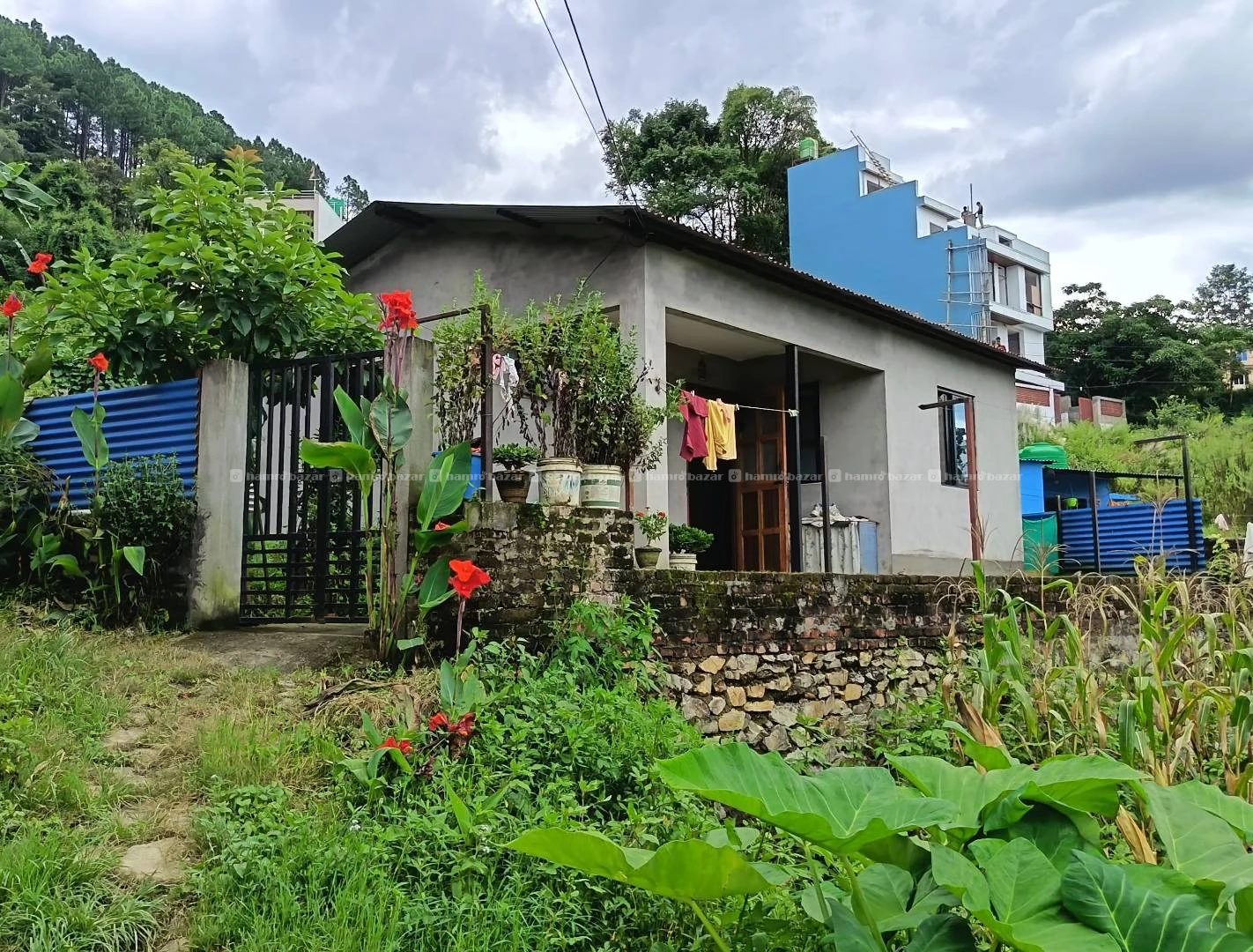 House sale for lalitpur jaruwarasi