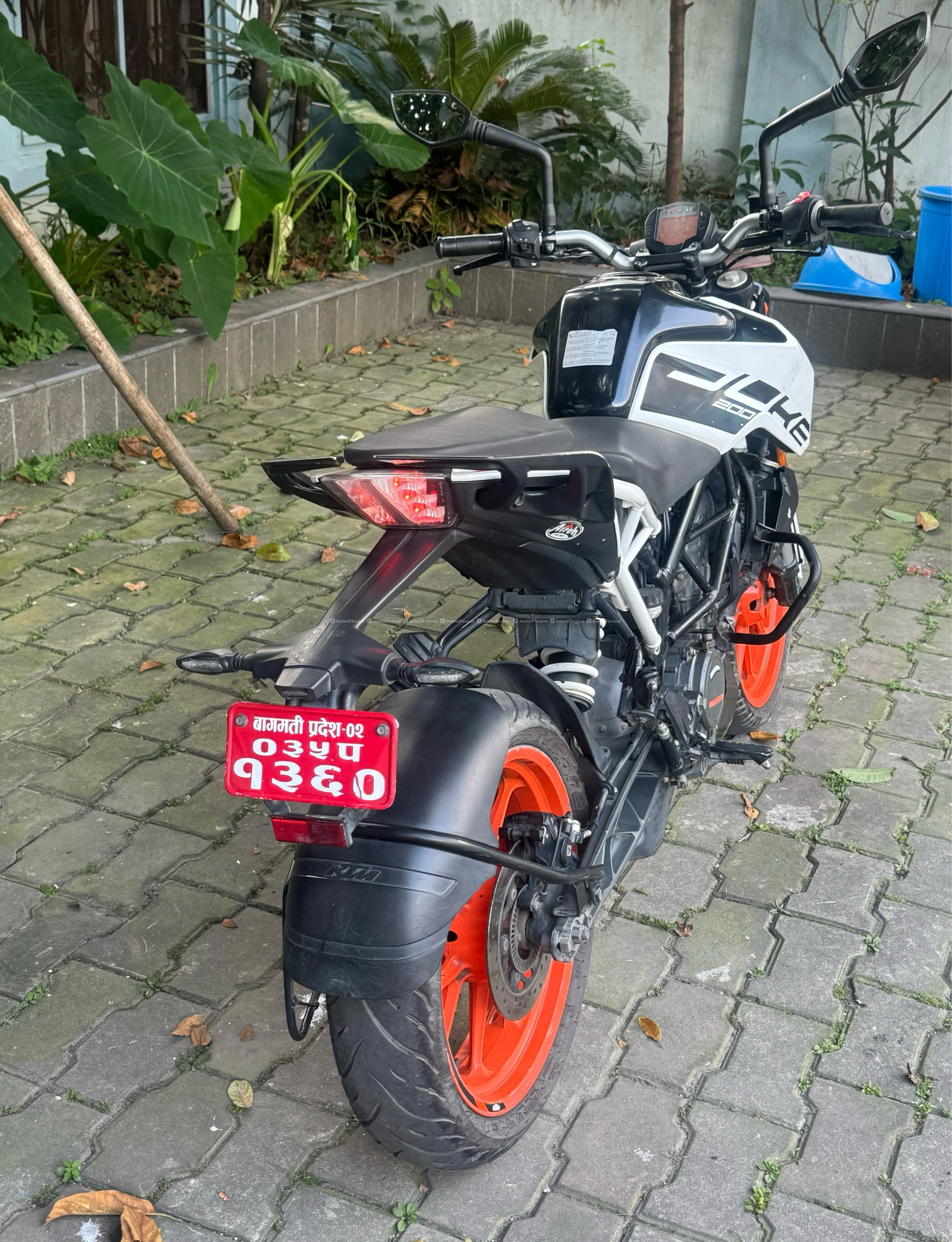 Duke 200 BS6 2
