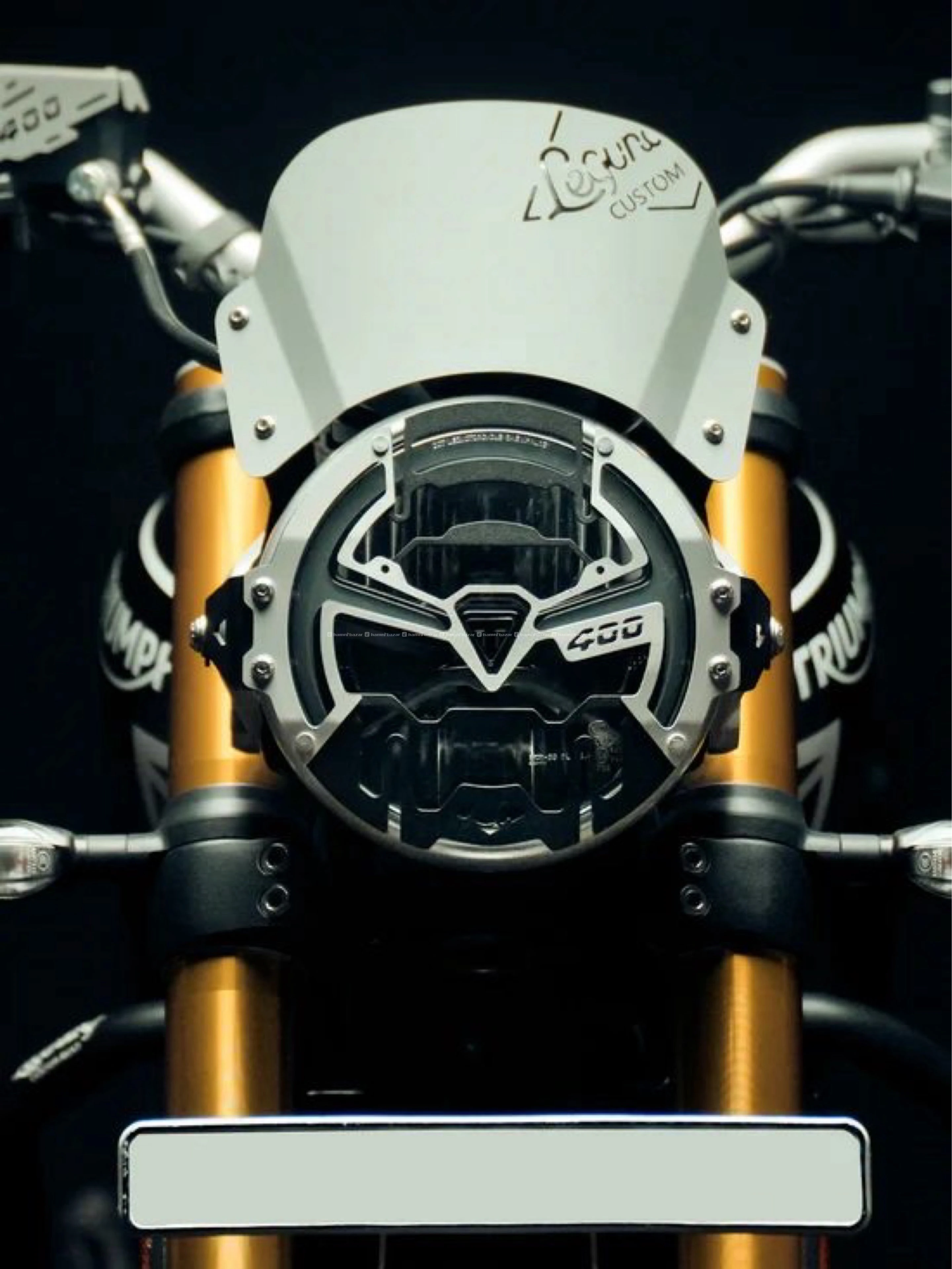 Legendary Customs Visor & Grill for Speed 400 2