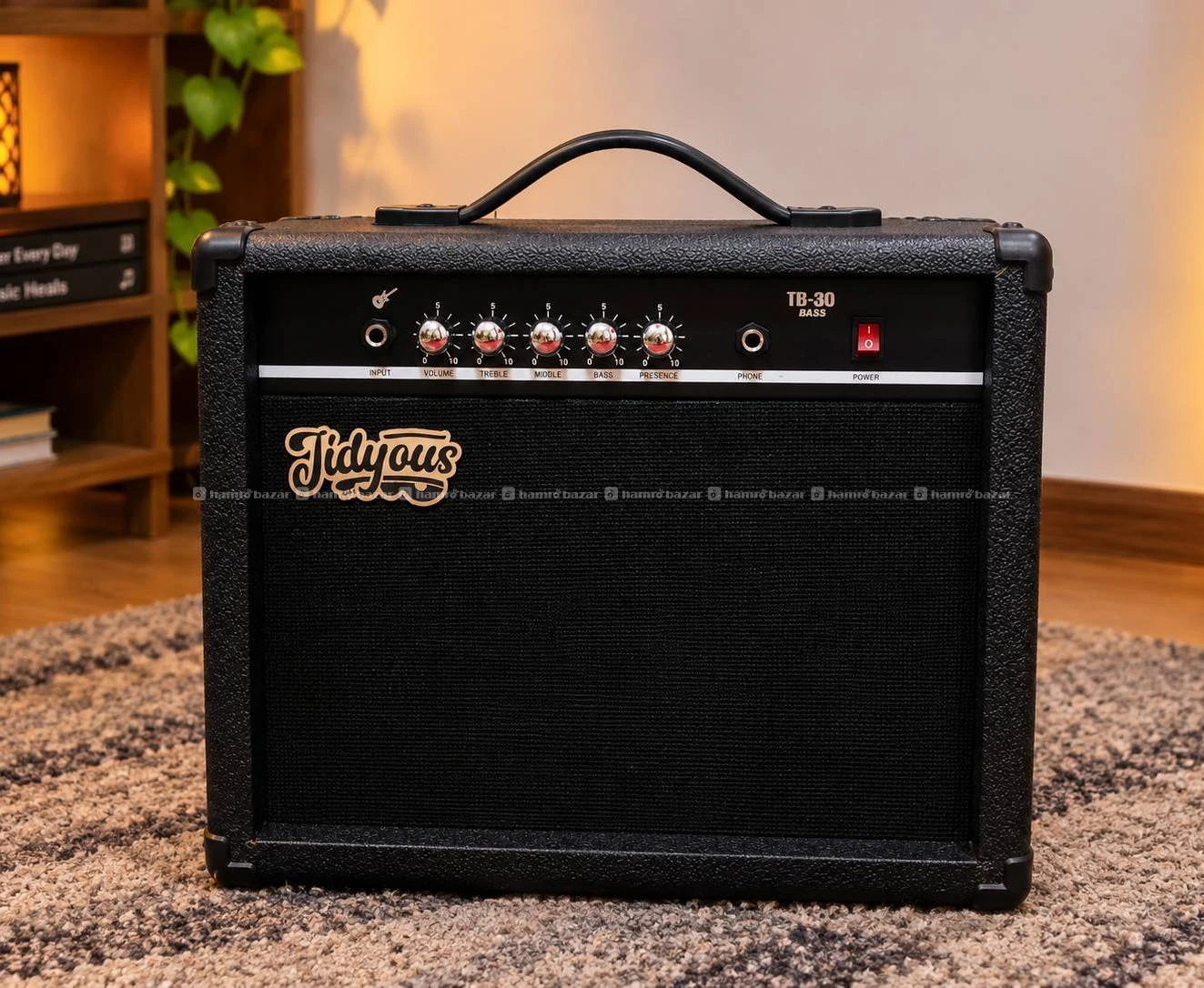 Acoustic Guitar + Guitar Amplifier Combo 3