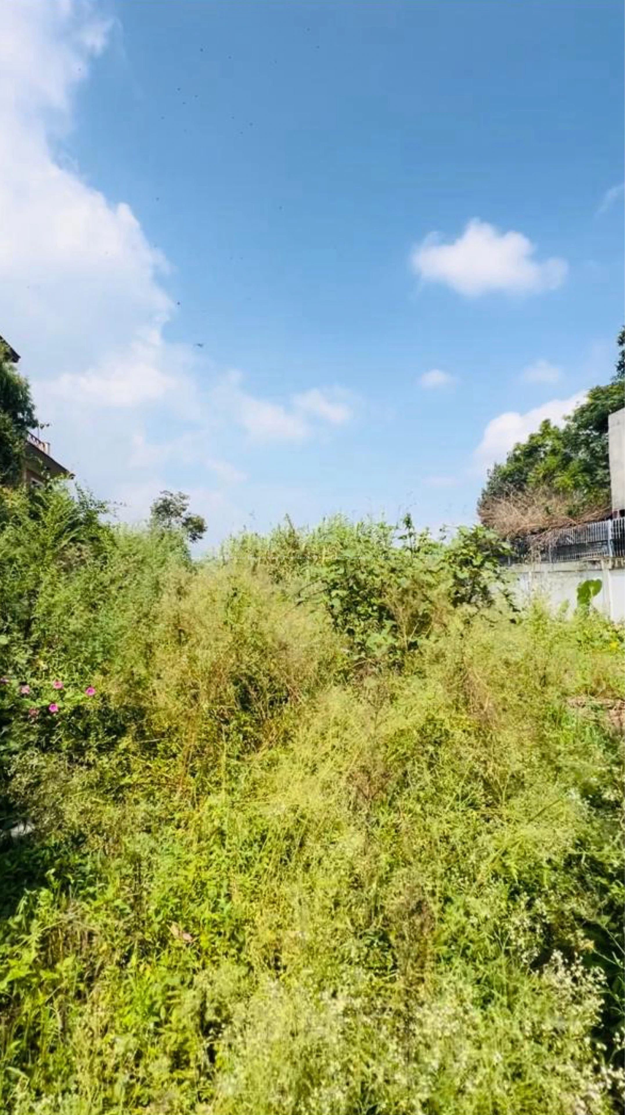Bhaisepati land for rent