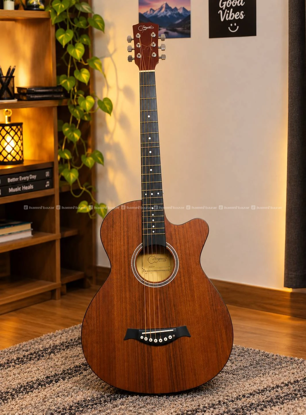 Acoustic Guitar + Guitar Amplifier Combo 2