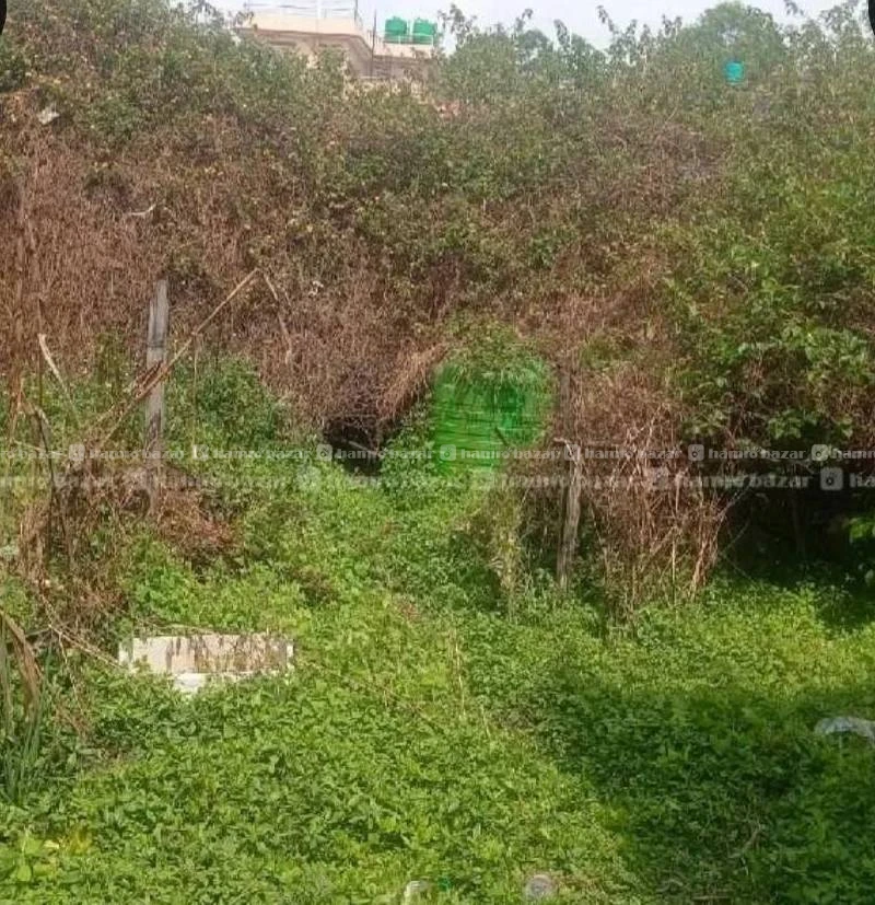 VIP LAND FOR SALE 4