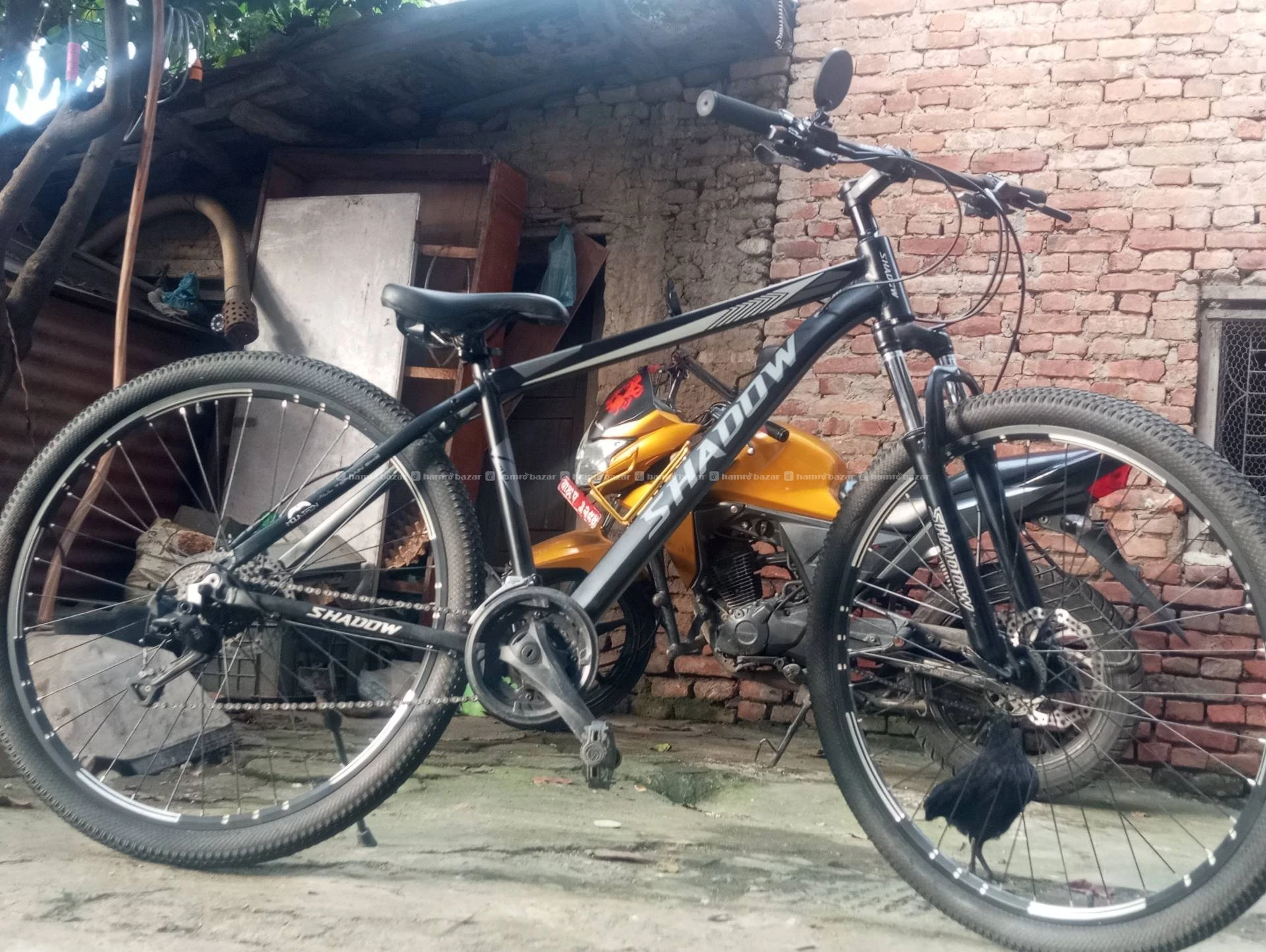 Cycle 4