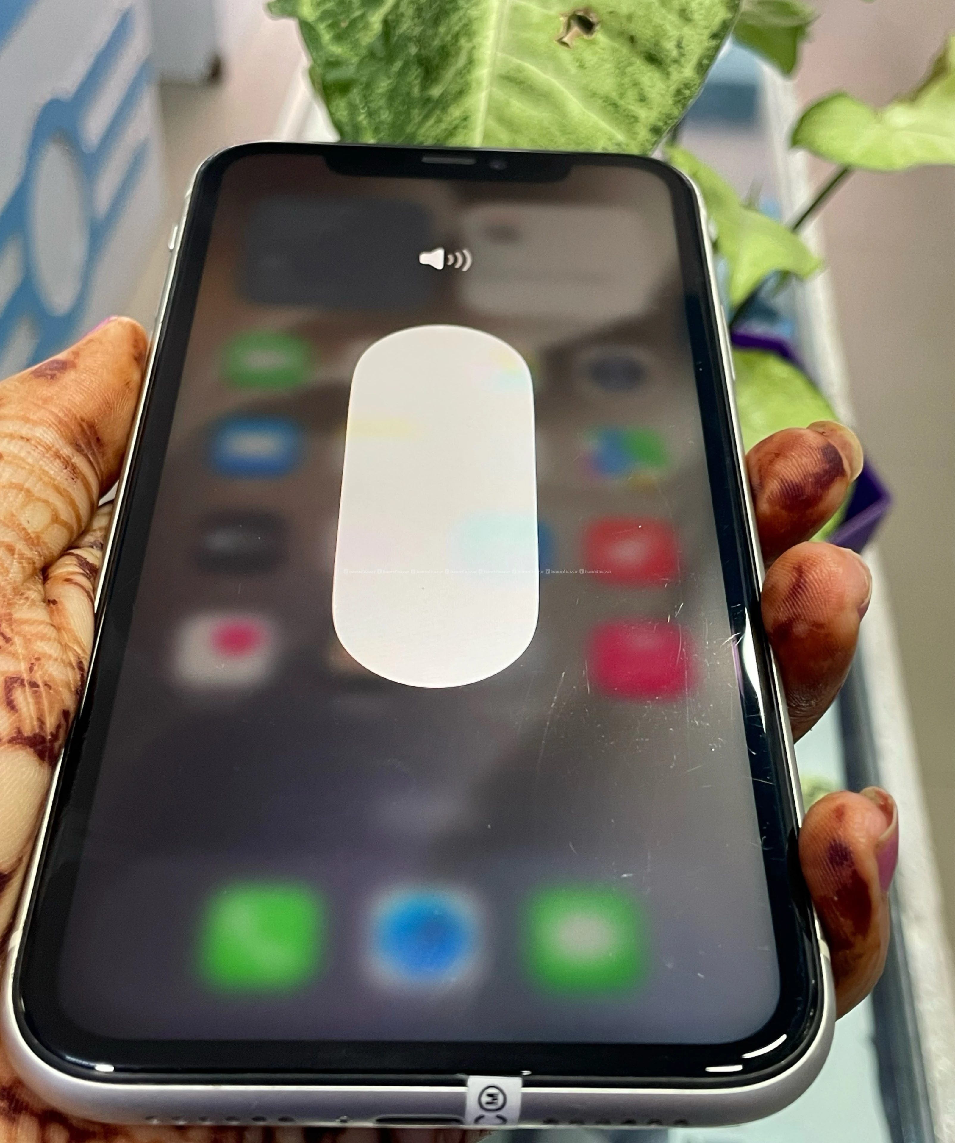 iPhone 11 5