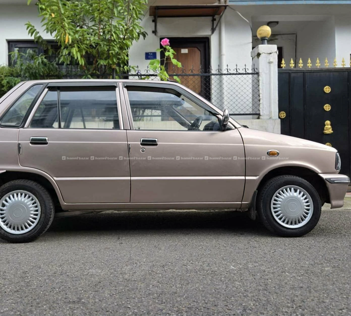 FRESH MARUTI 800 5