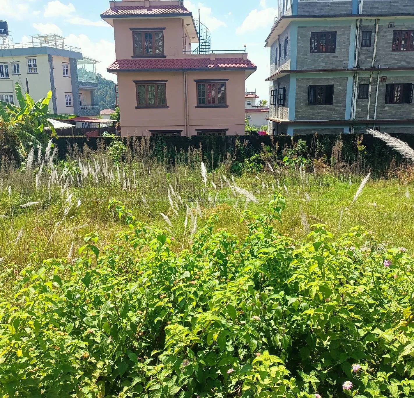 Land for sale in budhanilkantha 2