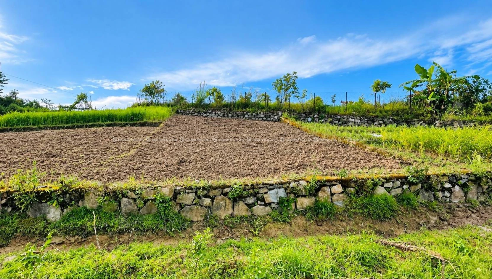 Cheap land sale in Badikhel, Godawari(Lalitpur)
