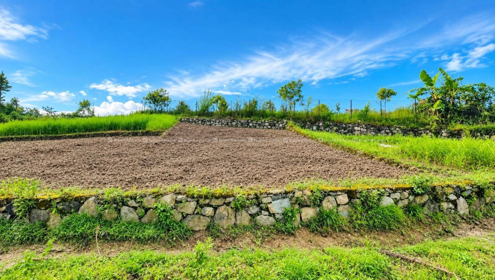 Cheap land sale in Badikhel, Godawari(Lalitpur) 4