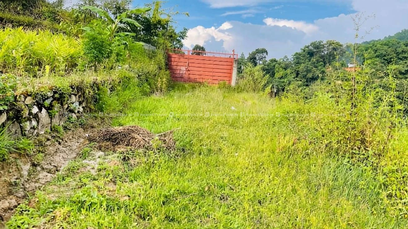 Cheap land sale in Badikhel, Godawari(Lalitpur) 6