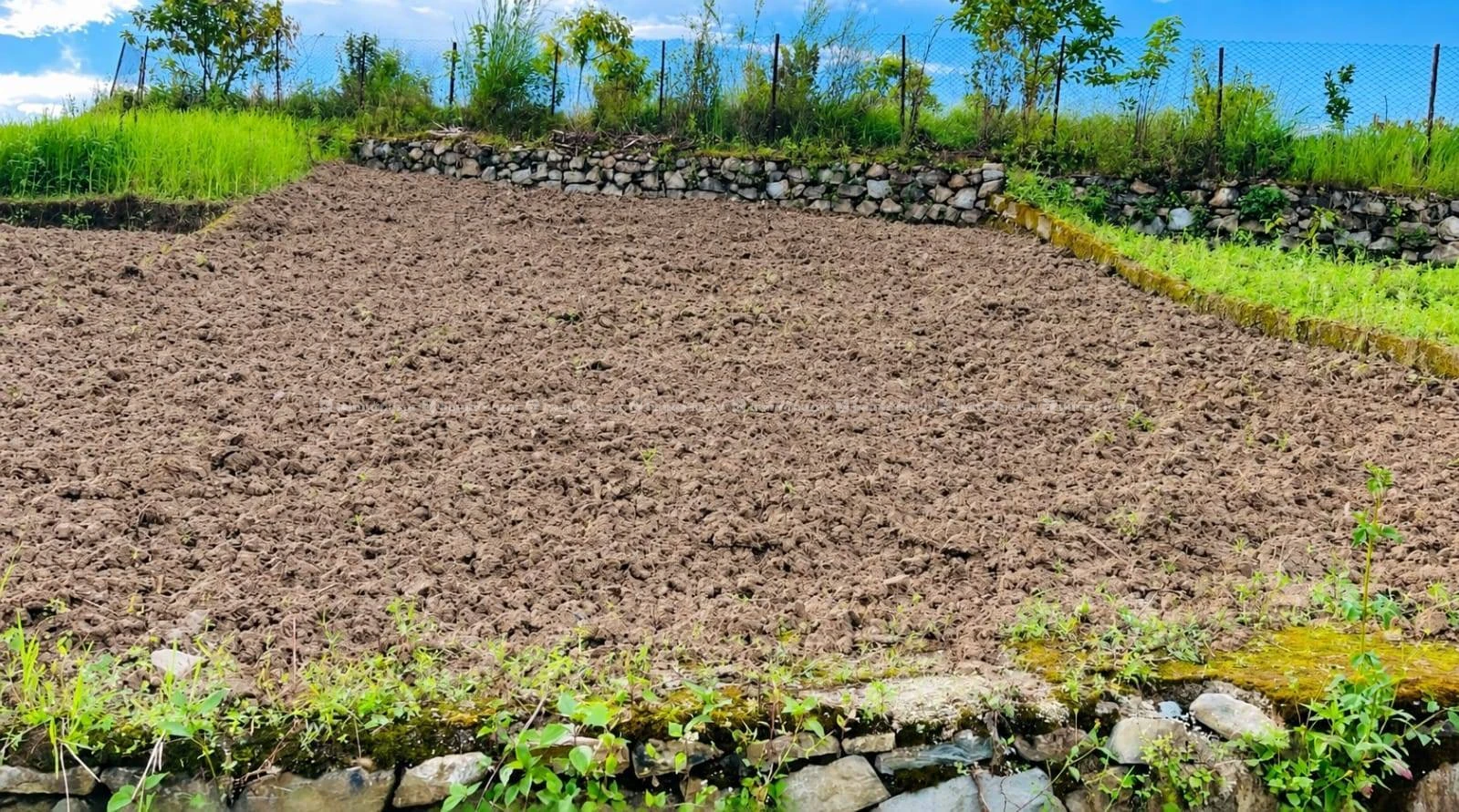 Cheap land sale in Badikhel, Godawari(Lalitpur) 5