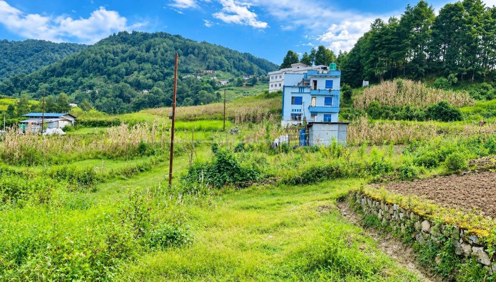 Cheap land sale in Badikhel, Godawari(Lalitpur) 7
