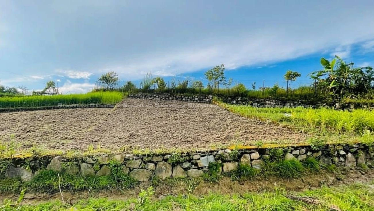 Cheap land sale in Badikhel, Godawari(Lalitpur) 2