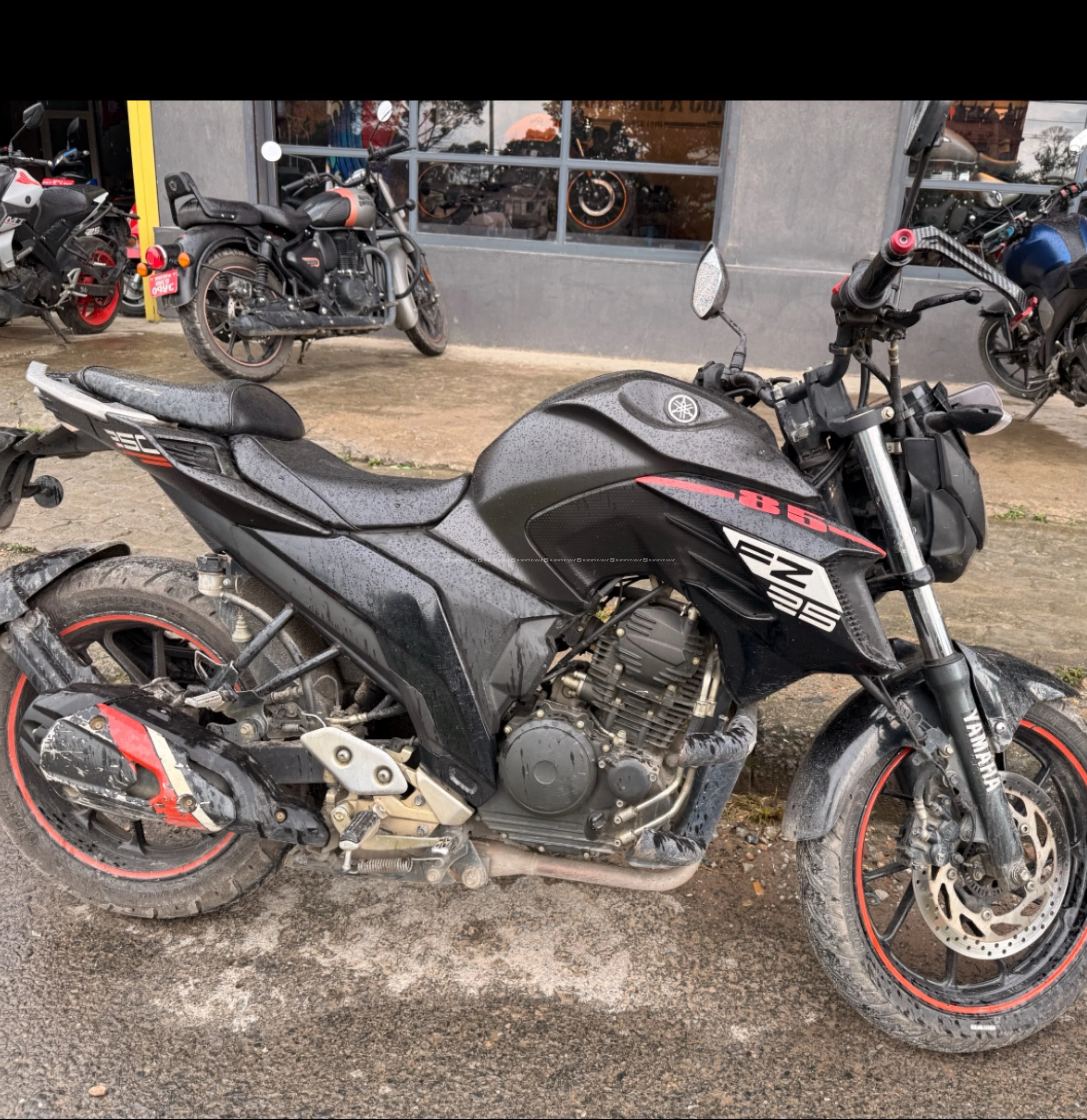 Fz 250