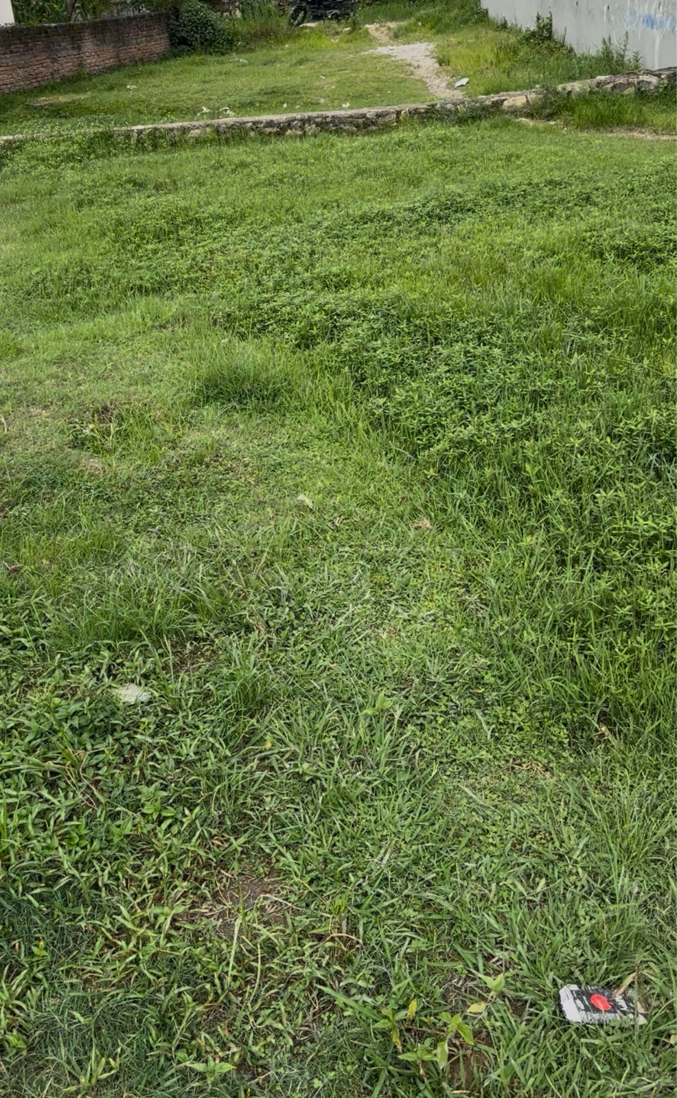 Land for sale in Thali, (150m inside main road)