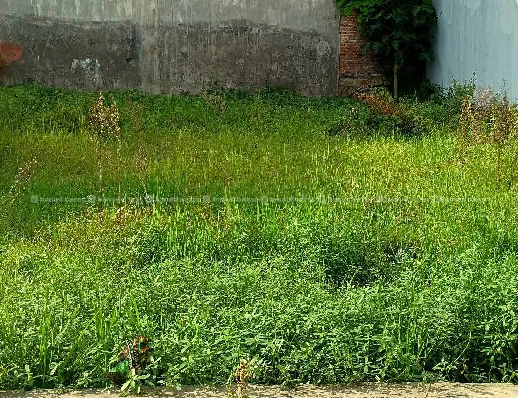 Needed land for residential