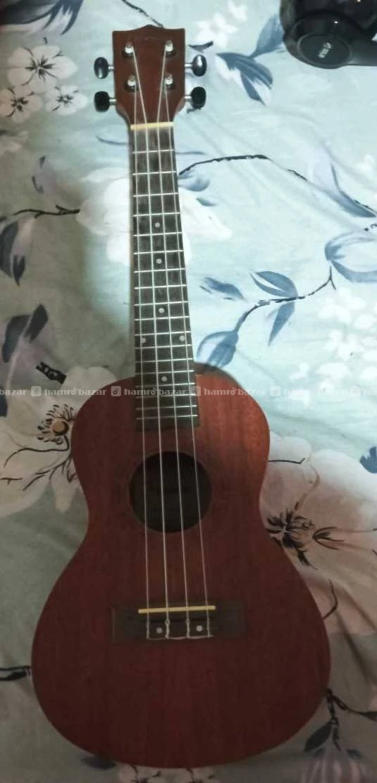Guitar