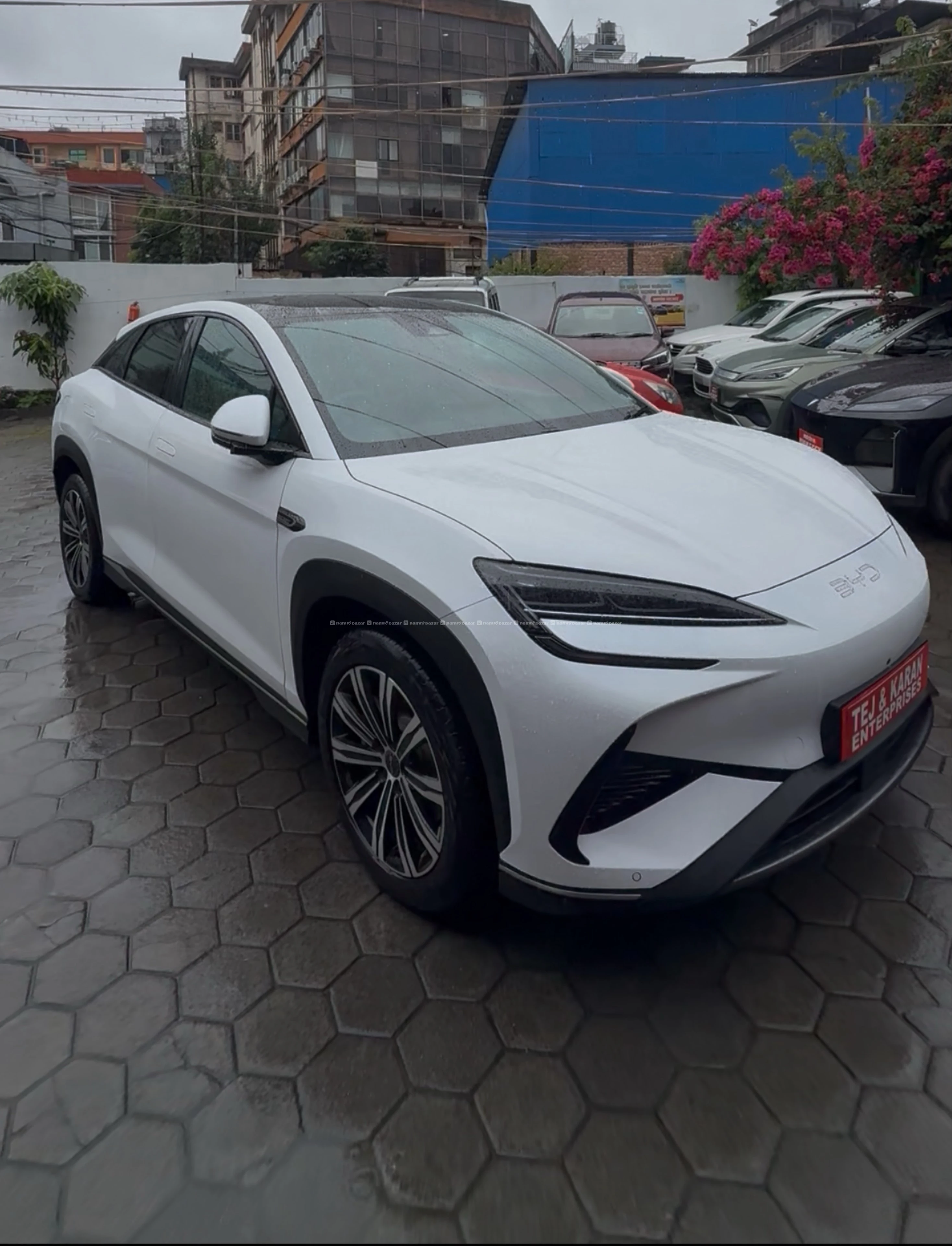 BYD Sealion 7 2025 model 5