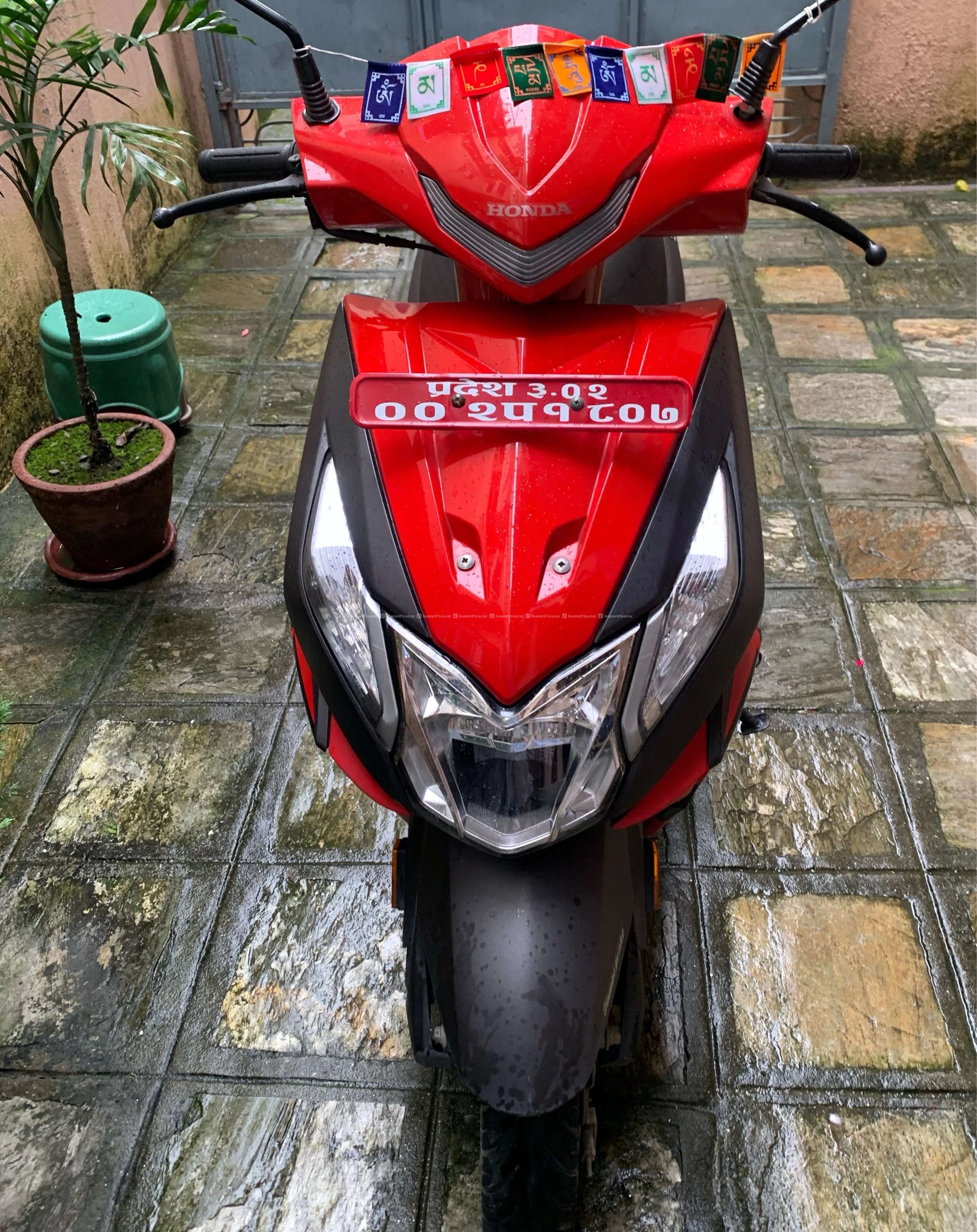 honda dio
